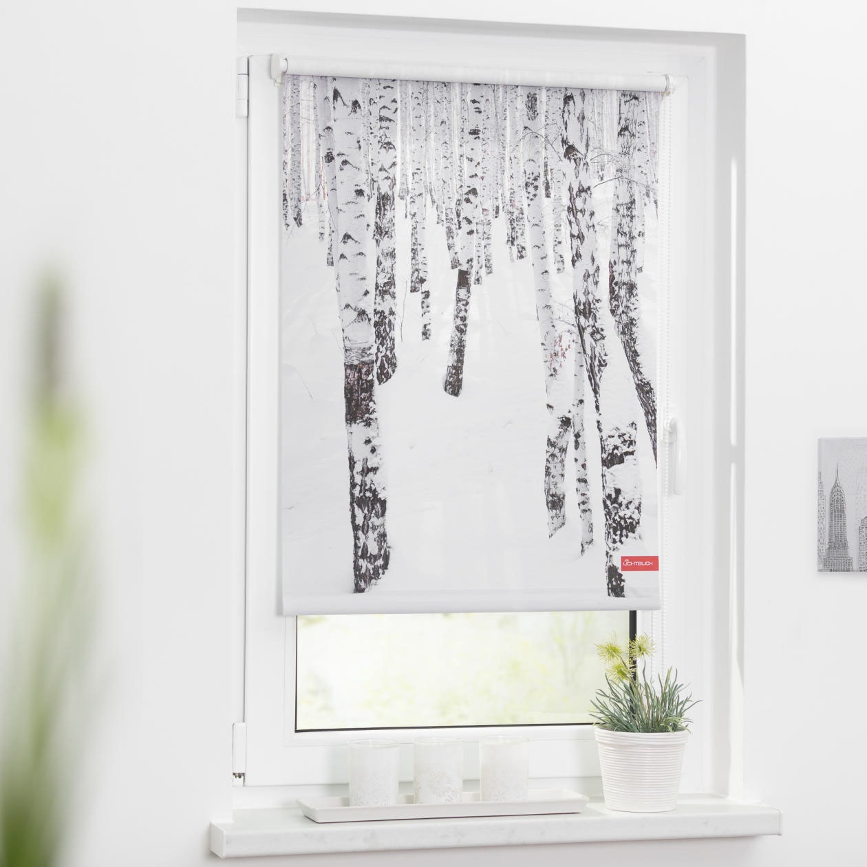 Image of LICHTBLICK ORIGINAL Seitenzugrollo »Rollo Klemmfix, ohne Bohren, Verdunkelung, Birkenwald - Weiss«, verdunkelnd, Verdunkelung-energiesparend, freihängend bei Ackermann Versand Schweiz