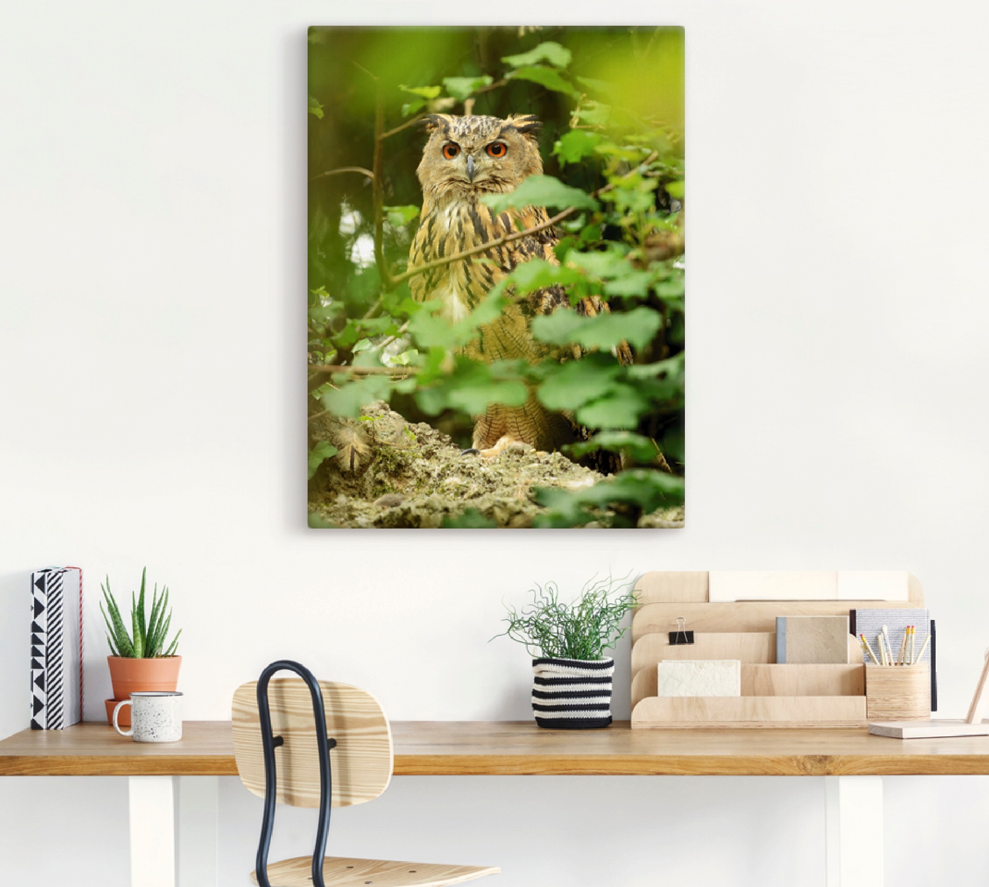 Artland Wandbild »Vogel Uhu« Vögel 1 Stk. tlg. als Leinwandbild, Poster in verschied. Grössen