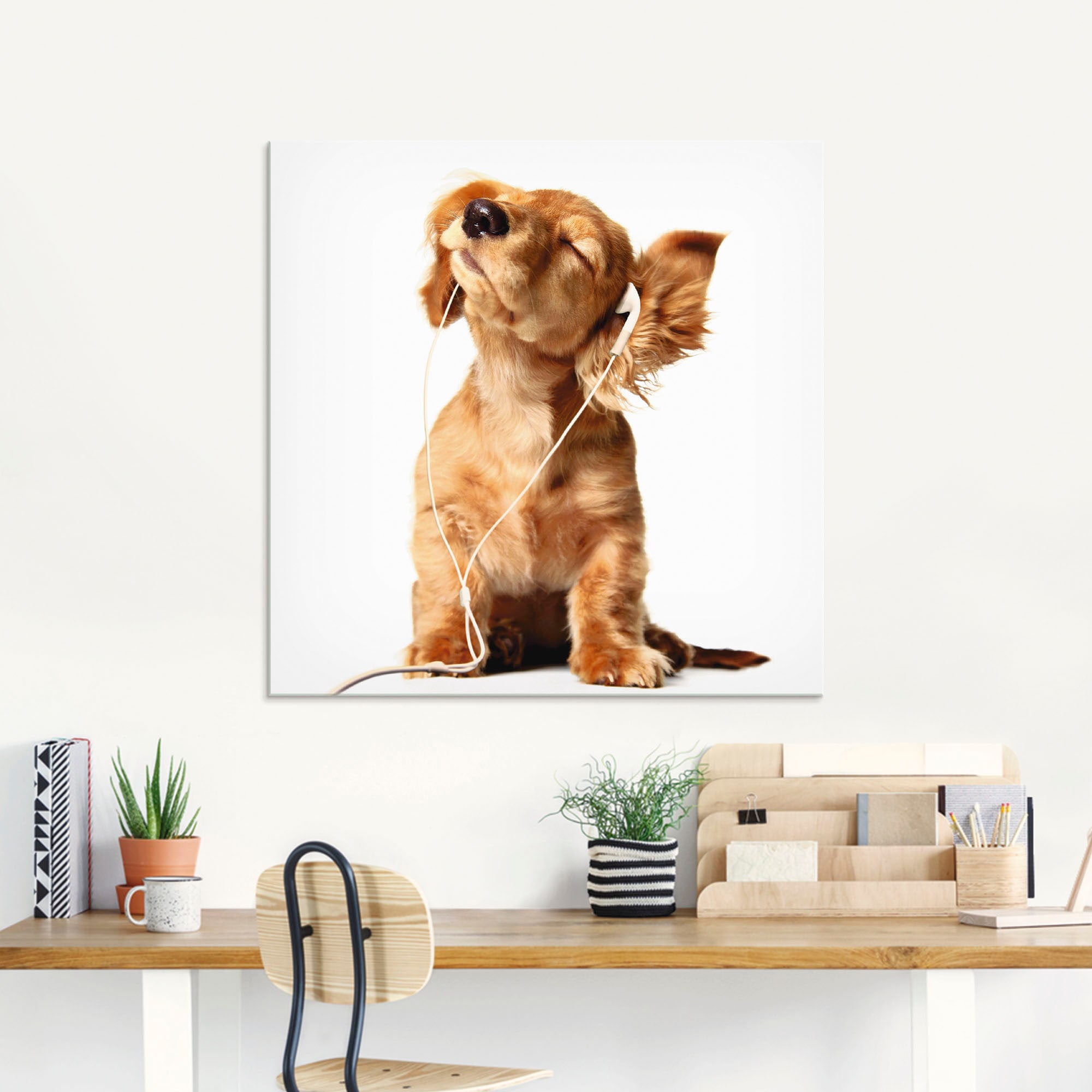 Artland Tableau en verre »Junger Hund hört Musik über Kopfhörer« Animaux de compagnie 1 cuis tlg. disponible en différentes tailles