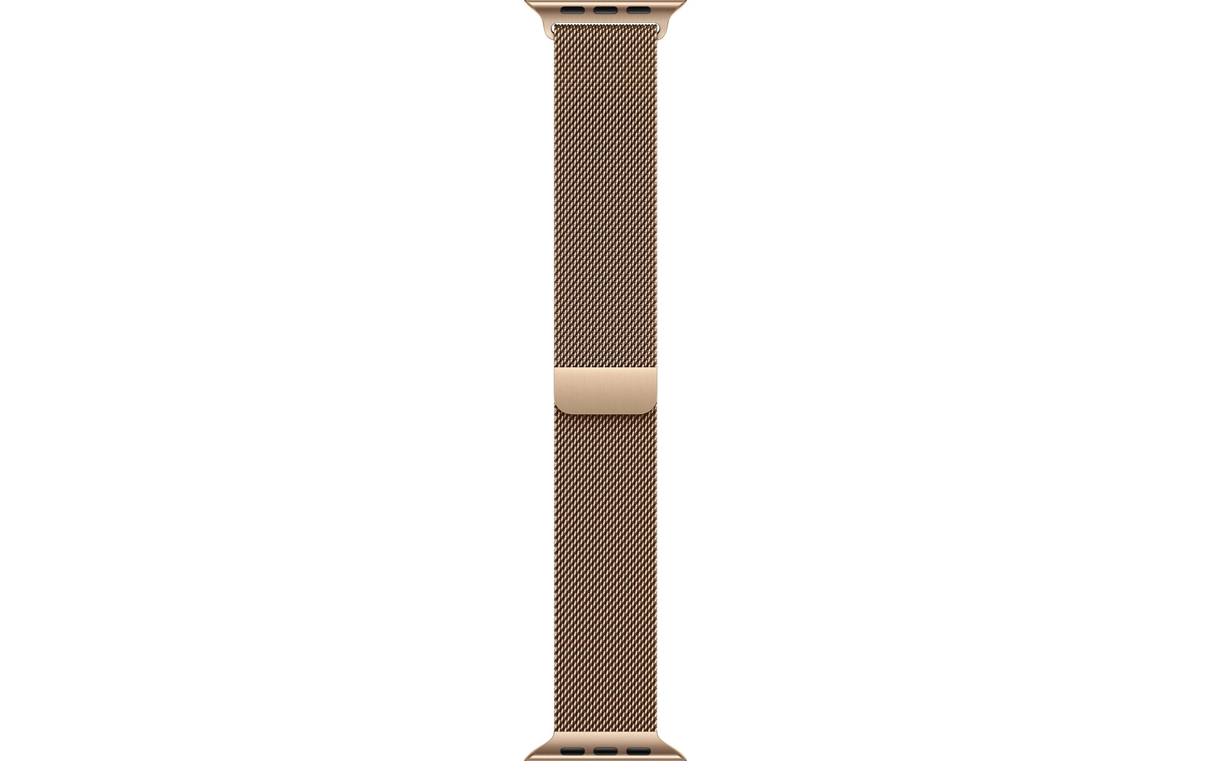 Image of Apple "Milanese Loop"