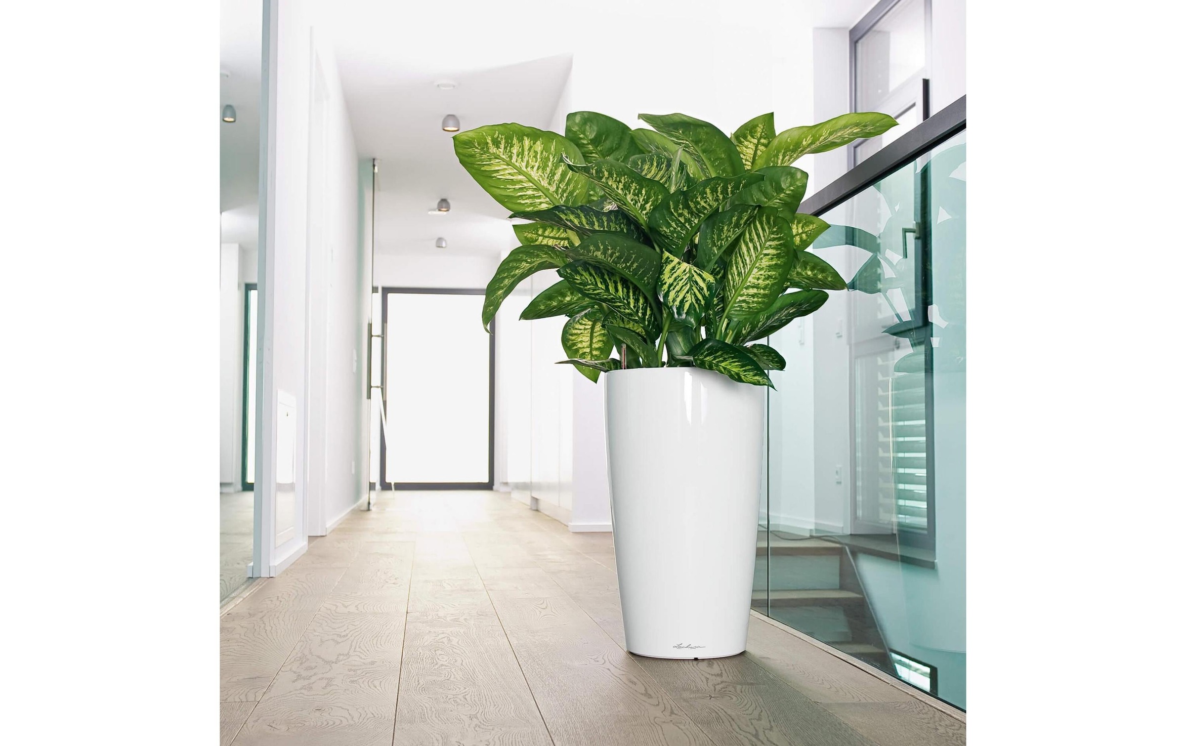   Pot de fleurs »Lechuza RONDO Premium 40«