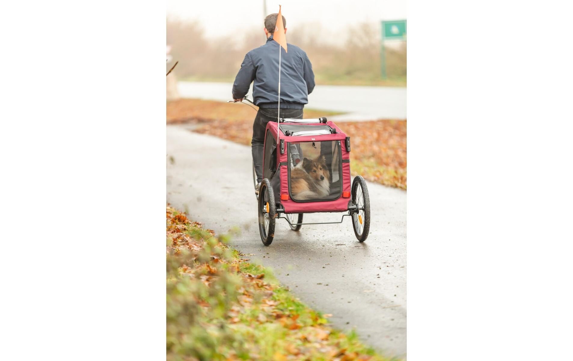 TRIXIE Remorque vélo pour chien »53 x 60 x 60/117 cm« Remorque à vélo pour chiens avec système de fixation rapide