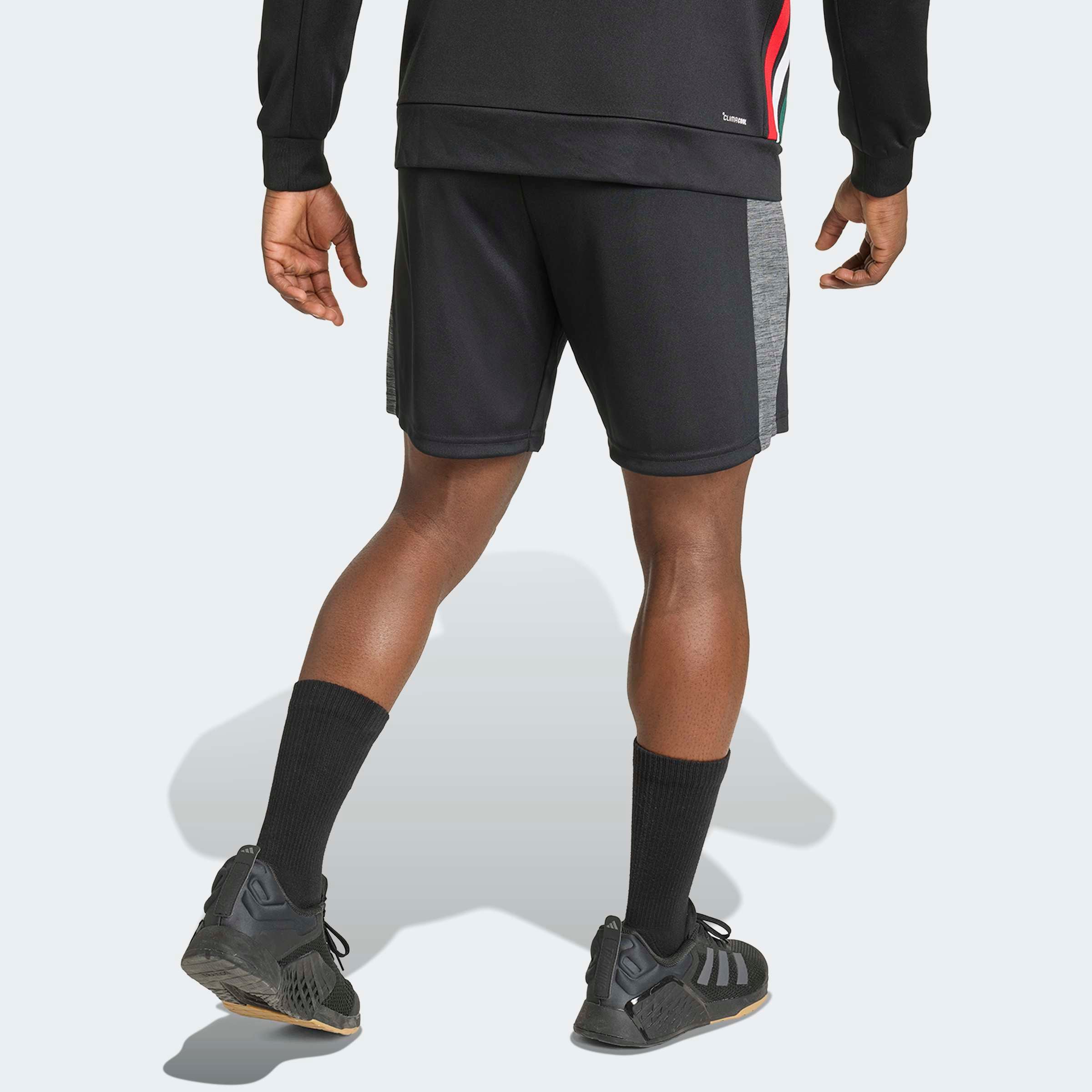adidas Performance Shorts »WORKOUT ESSENTIALS ALL-SET«