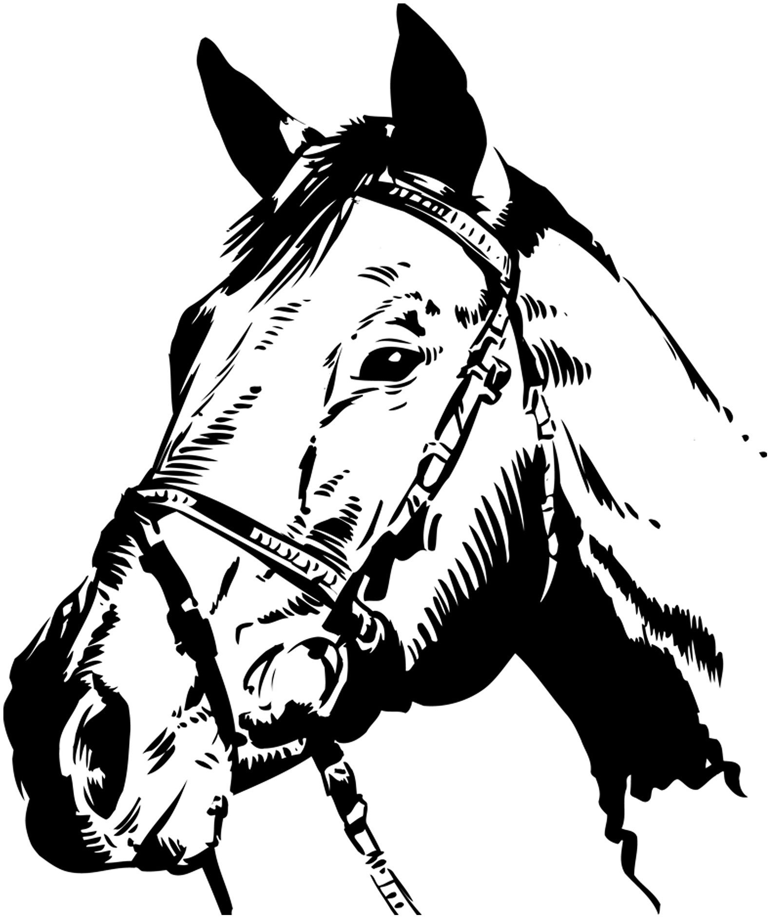 Image of Wall-Art Wandtattoo »Pferdekopf« bei Ackermann Versand Schweiz