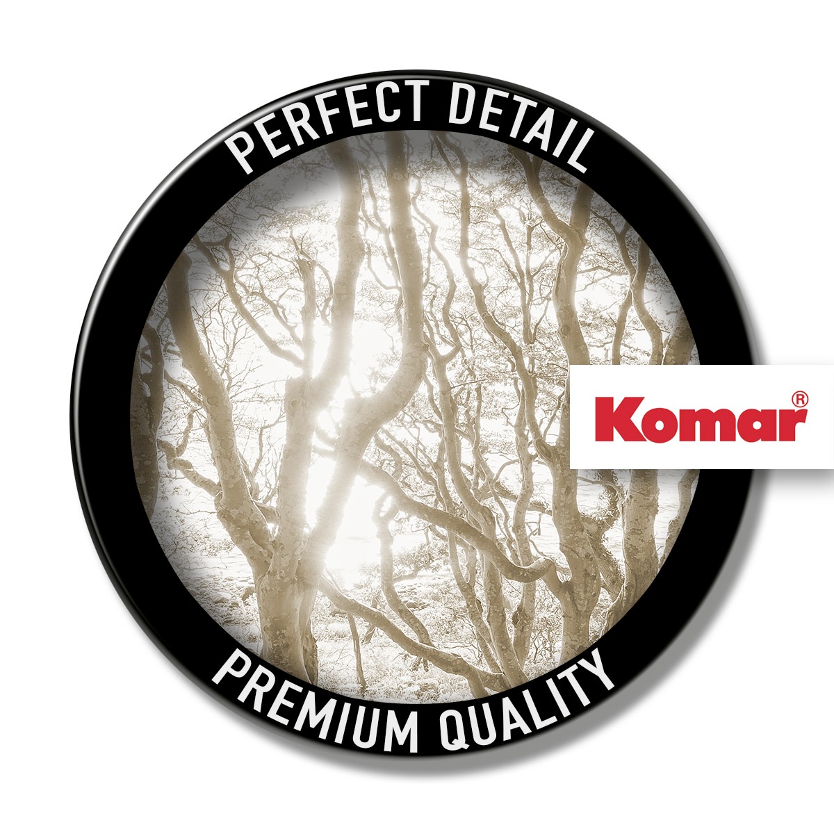 Komar Fototapete »Digitaldruck Vlies - Bleached Birch - Grösse 400 x 250 cm«, bedruckt-floral-geblümt-gemustert-tropisch, Wohnzimmer, Schlafzimmer