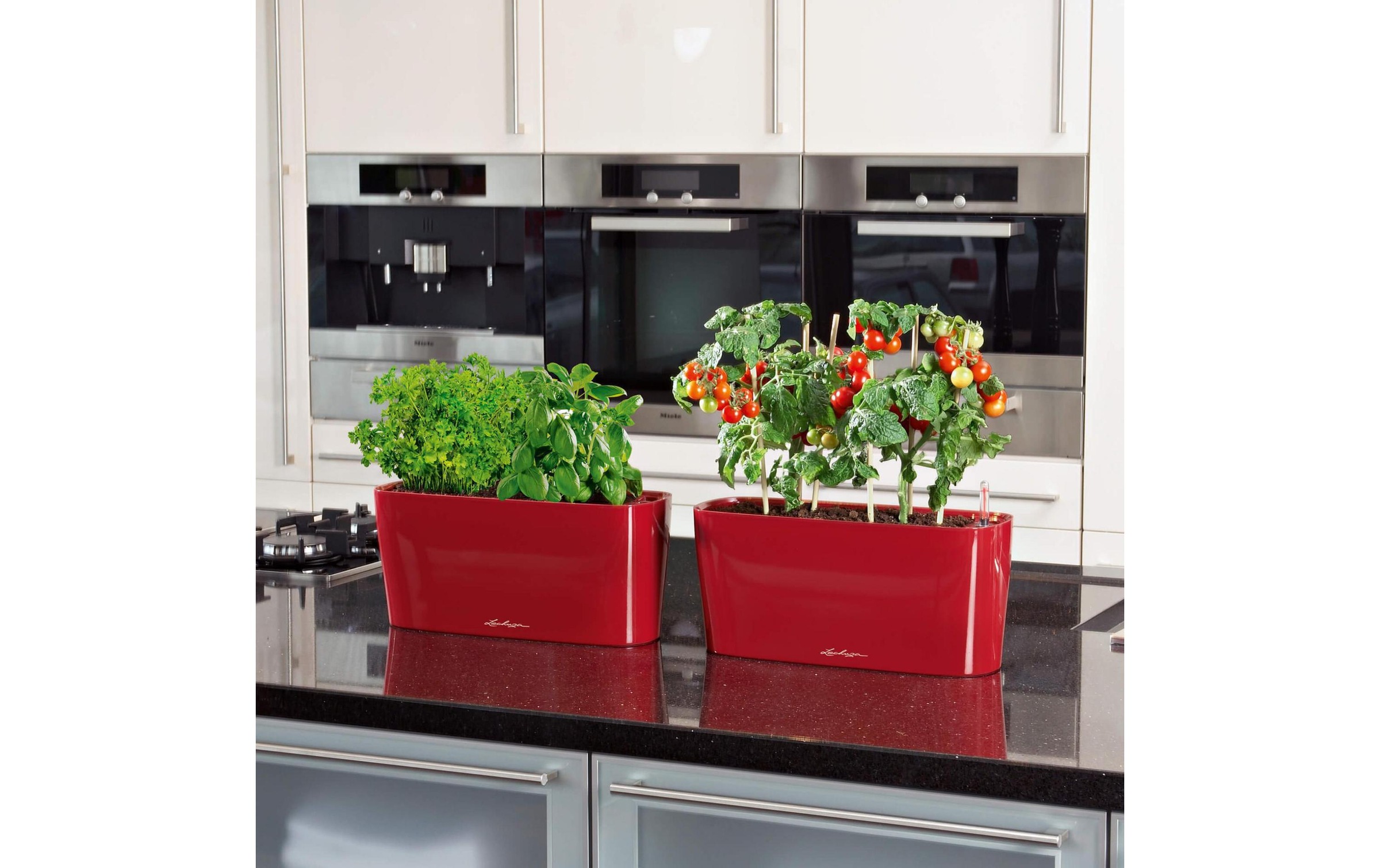 Blumentopf »Lechuza Delta 20«