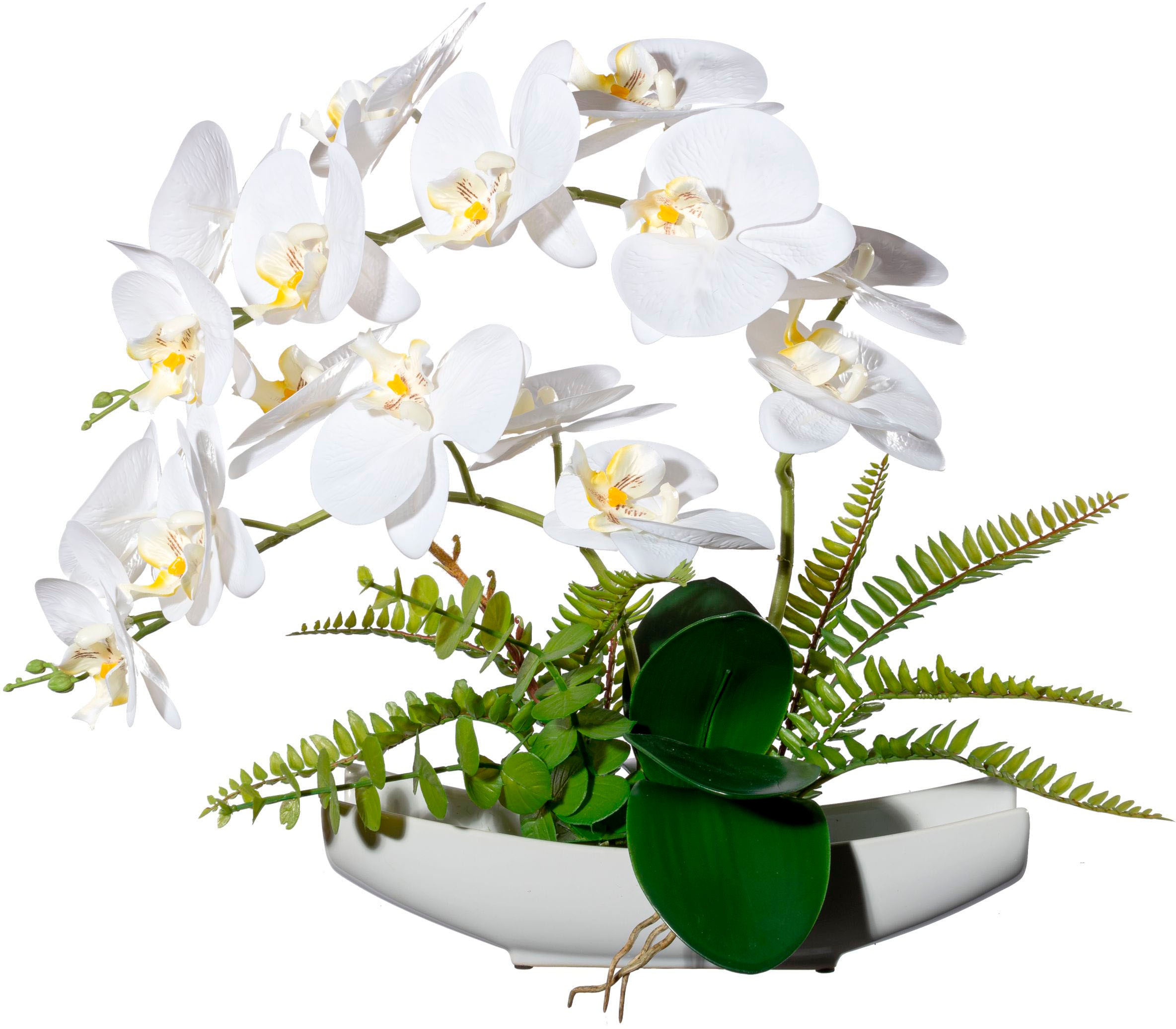 Creativ green Kunstorchidee »Orchidee Phalaenopsis in Keramikschale«, mit Real-Touch-Blüten