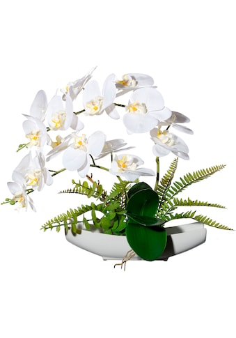 Kunstorchidee »Orchidee Phalaenopsis in Keramikschale«