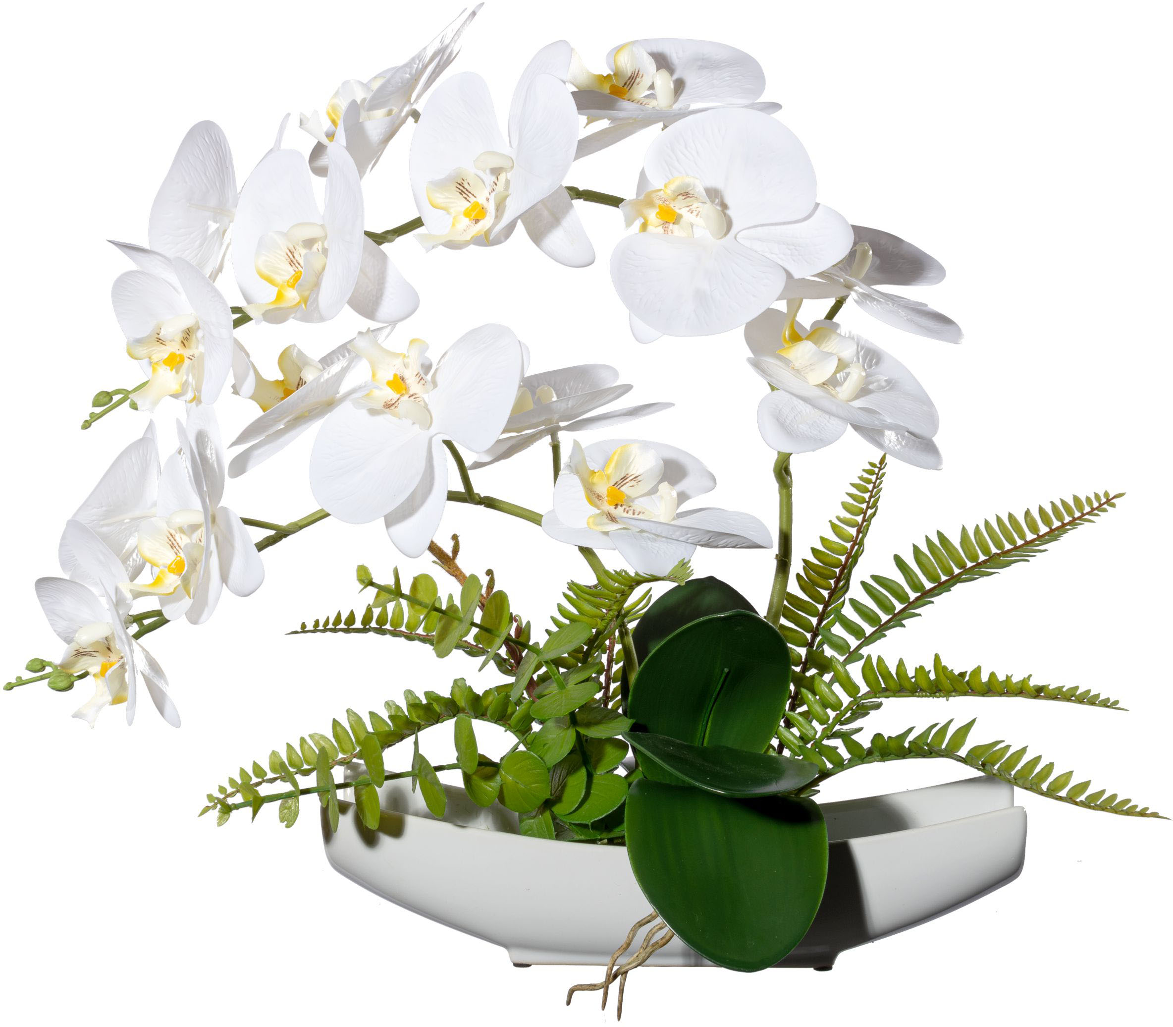 kaufen Kunstorchidee green »Phalaenopsis« Creativ
