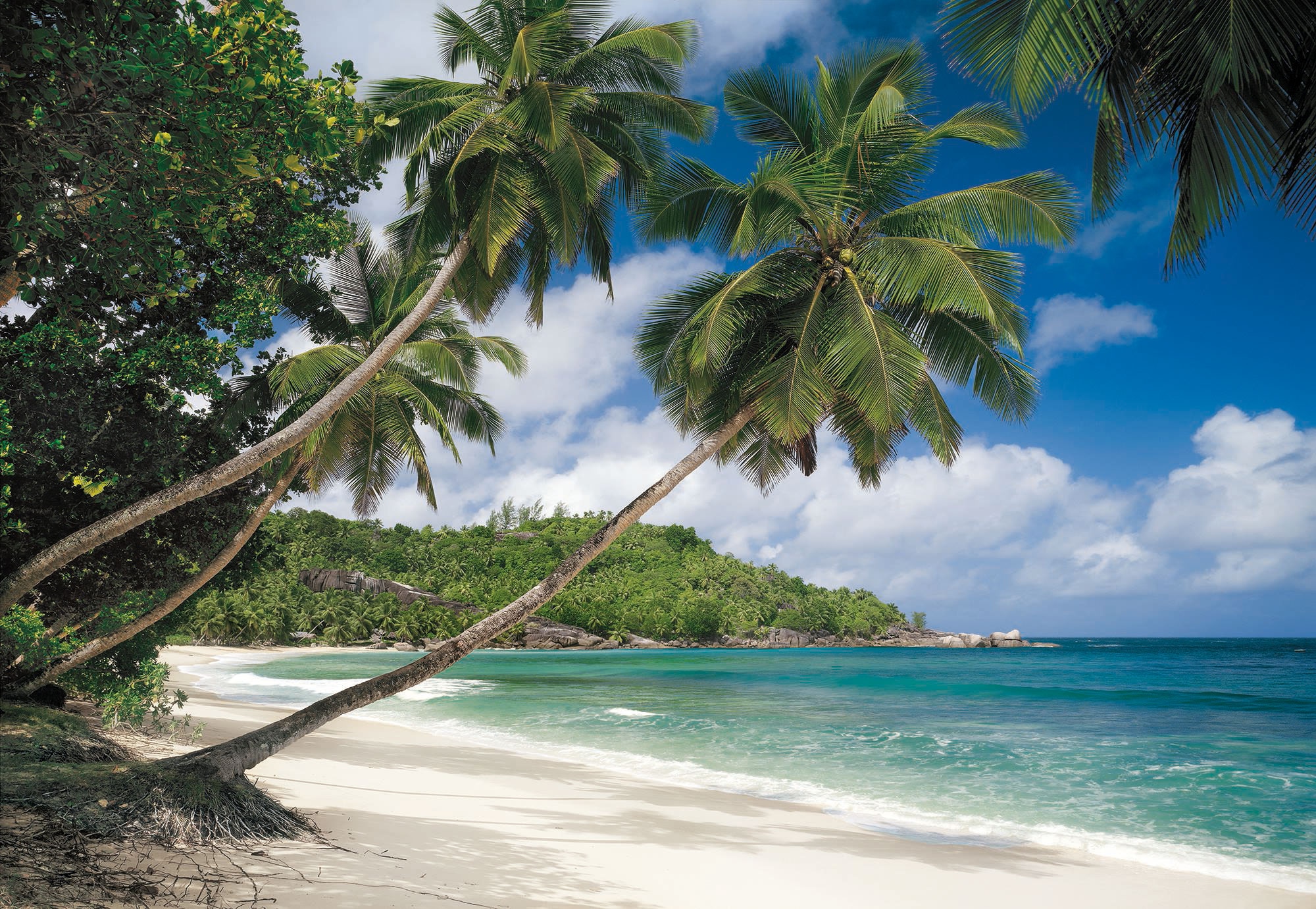 Image of Komar Fototapete "Tropical Sea - Grösse 368 x 254 cm" bedruckt glatt Wohnzimmer, Schlafzimmer