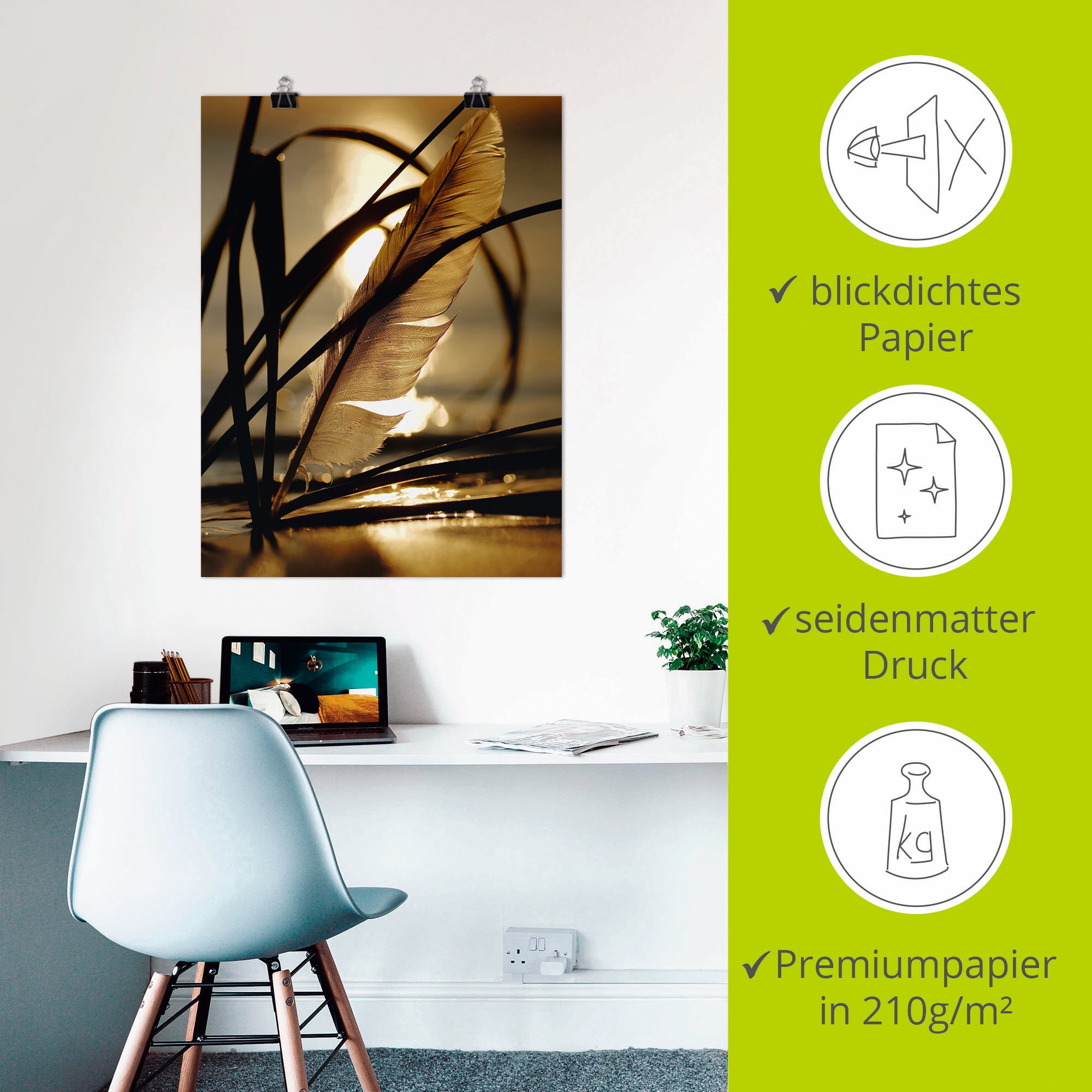 Artland Wandbild »Feder im Abendlicht« Gräser 1 Stk. tlg. als Leinwandbild, Poster in verschied. Grössen