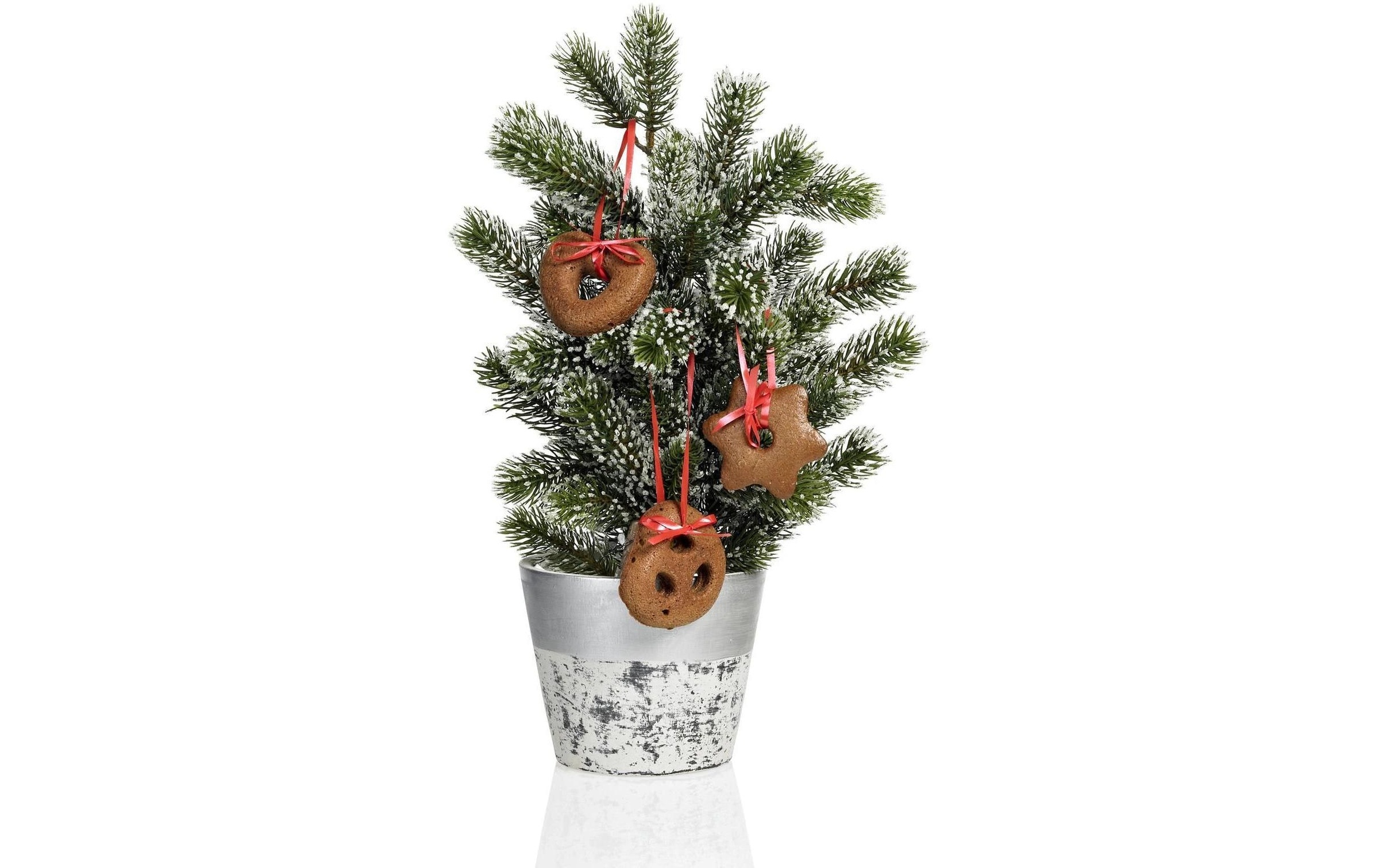 Lurch »Lurch Lebkuchen Backform 2er Set, 17 x 30 cm«