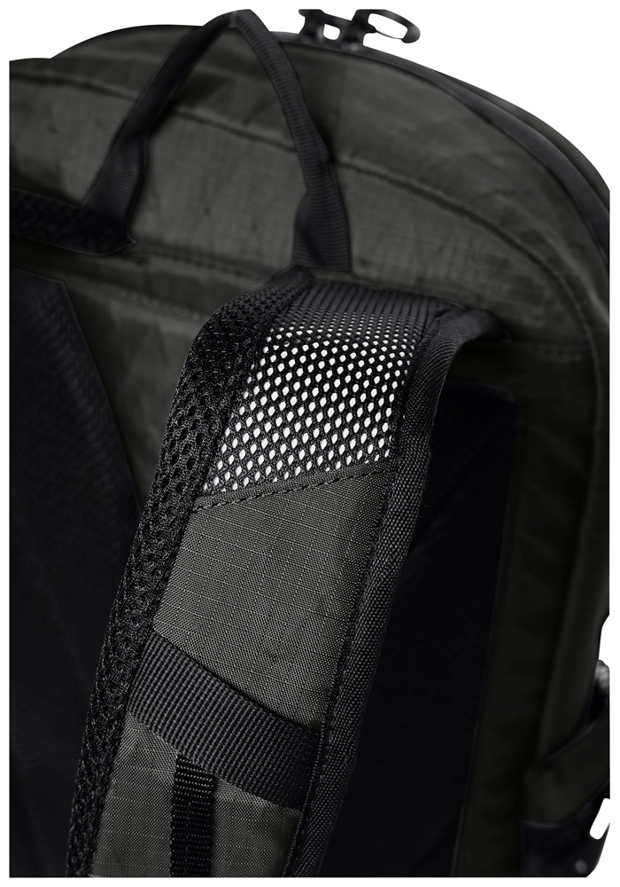 Jack Wolfskin Daypack »WANDERMOOD PACK 20«
