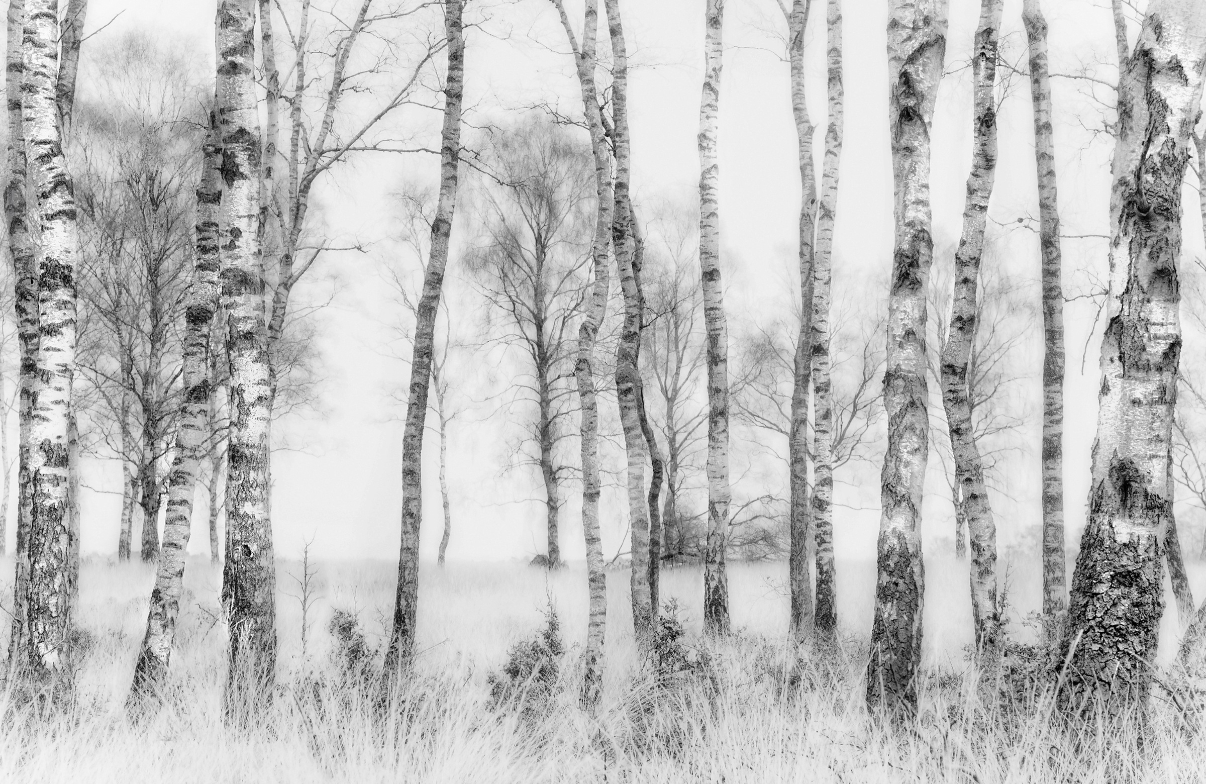Image of Papermoon Fototapete »Photo-Art NEL TALEN, SCHWARZ UND WEISS«, Vliestapete, hochwertiger Digitaldruck, inklusive Kleister bei Ackermann Versand Schweiz