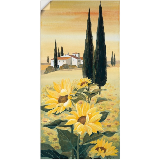 Artland Wandbild »Südliche Weite«, Blumen, (1 St.), als Leinwandbild,  Wandaufkleber oder Poster in versch. Grössen kaufen