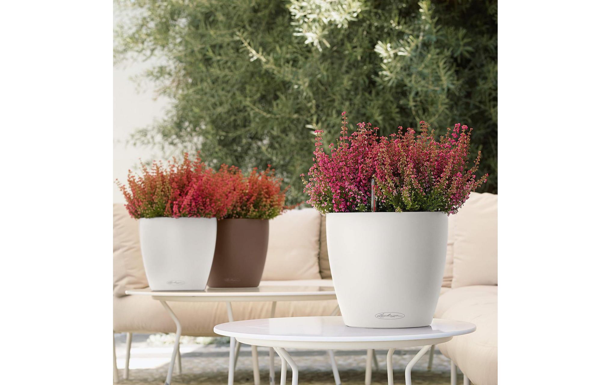  Pot de fleurs »Lechuza Pflanzentopf CLASSICO Color« Material: Polycarbonat, Polypropylen