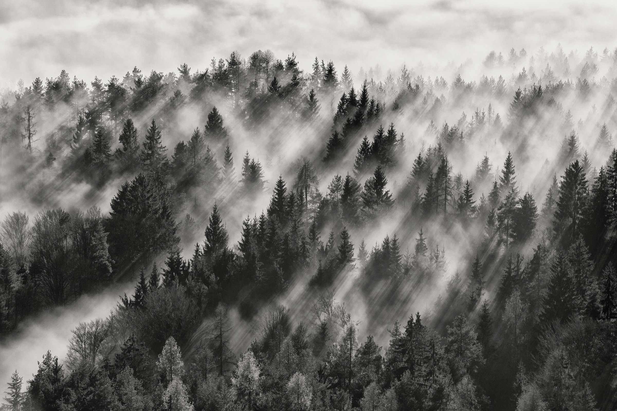 Image of Papermoon Fototapete "Photo-Art DAVORIN BALOH, SUNDANCE NR1"