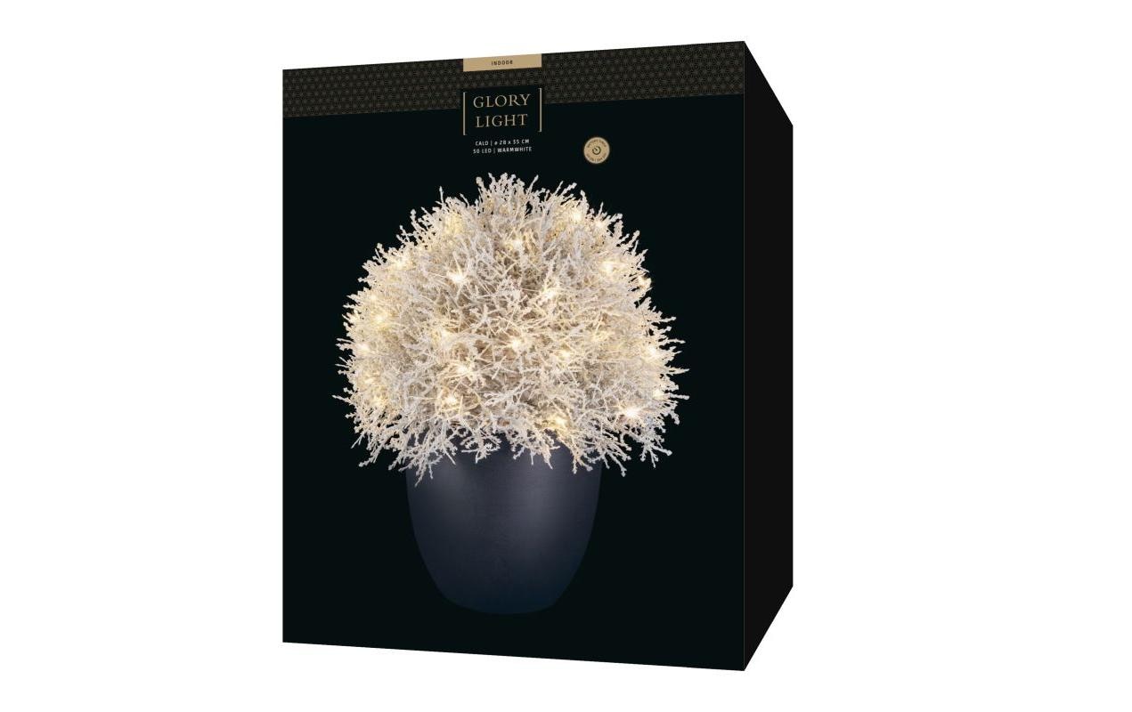 STT Arbre LED »Calo 35«