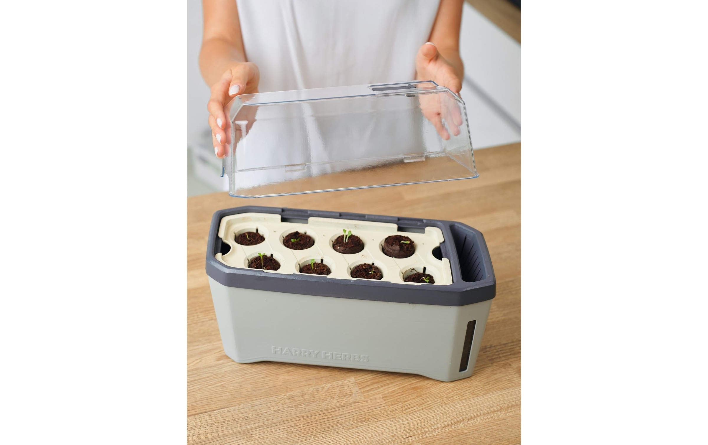 Gusta Garden Kräutertopf »HERBS hellgrau«