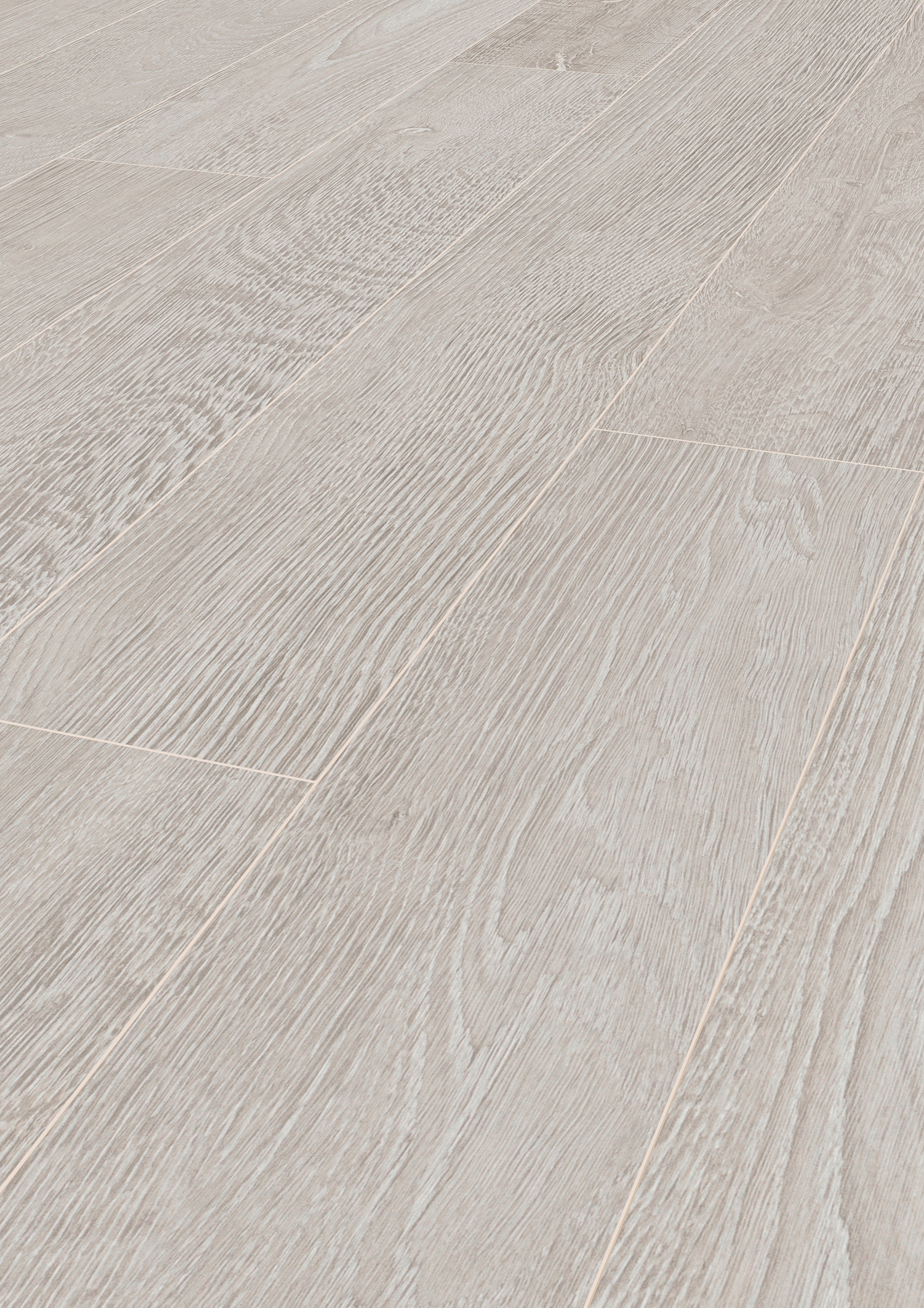 Image of ter Hürne Laminat »Eiche weissgrau«, mit fühlbarer Oberfläche und Klicksystem bei Ackermann Versand Schweiz