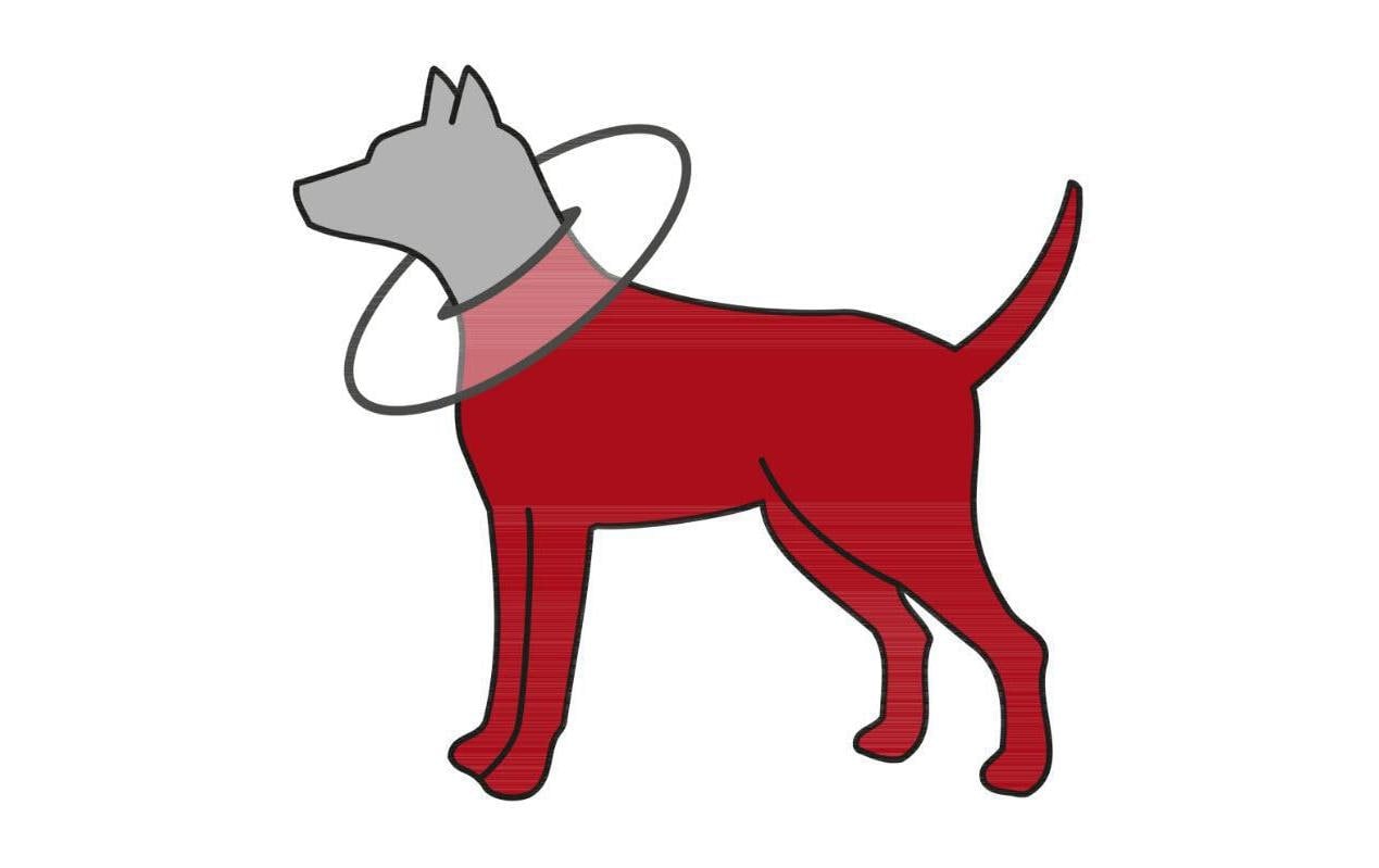 TRIXIE Schutzkragen »Schutzkragen weich mit Klettverschluss« Polyester