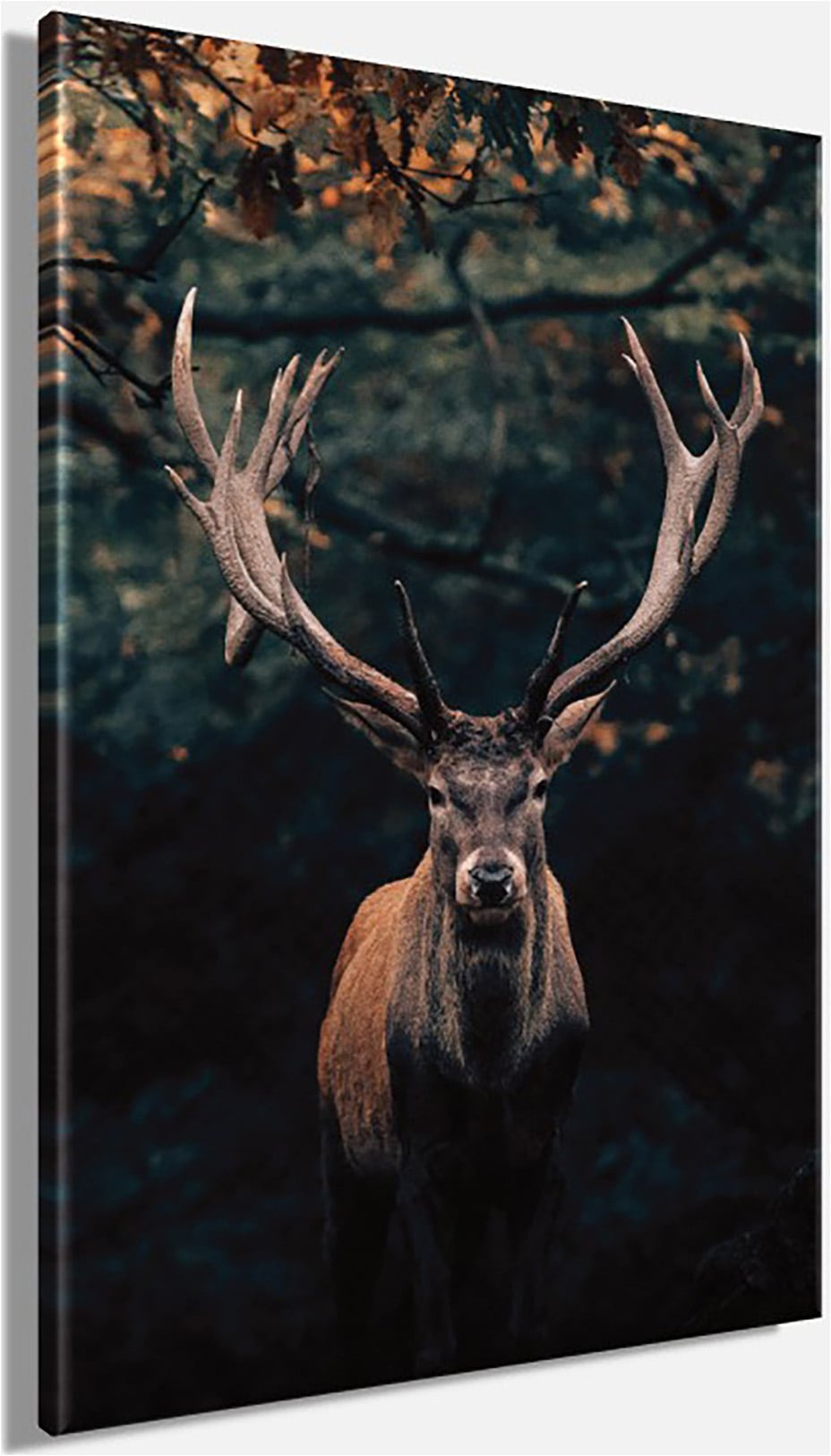 Bönninghoff Leinwandbild »Wandbild HIRSCH IM WALD 78x118 cm – Leinwandbild Keilrahmen Deko« Hirsch 1 Stk. tlg. auf Keilrahmen gespannt