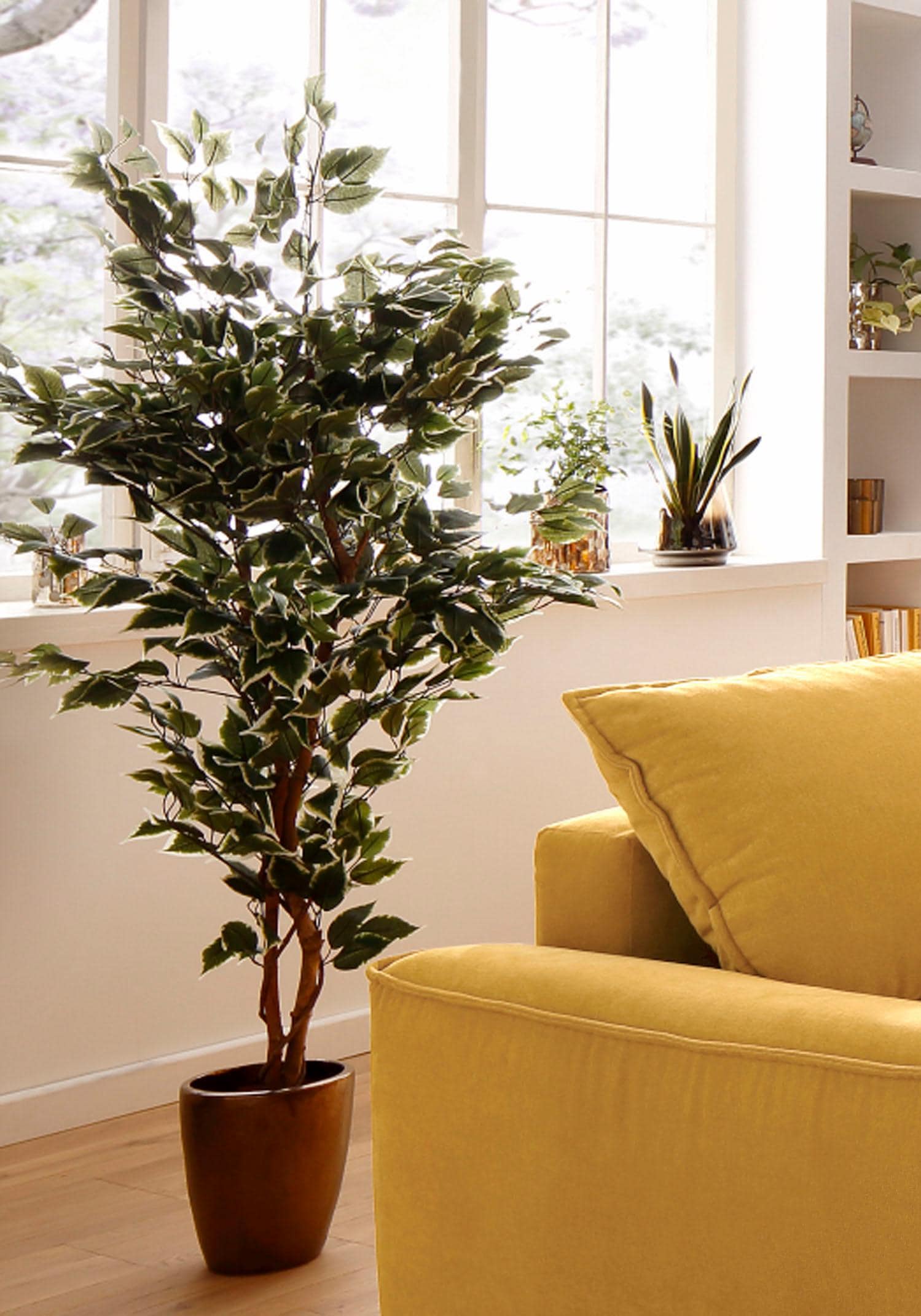 Creativ green Kunstpflanze »Ficus kaufen bequem Benjamini«