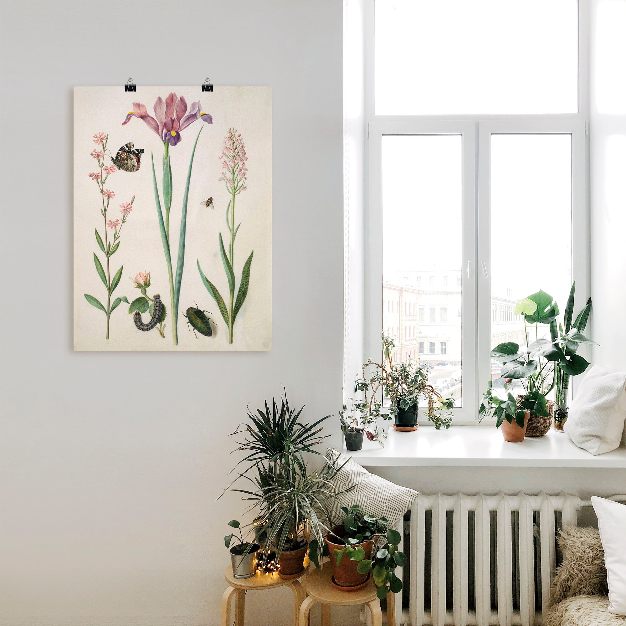 Artland Poster »Admiral, Rose Iris Knabenkraut.« Pflanzen 1 Stk. tlg. ohne Rahmen