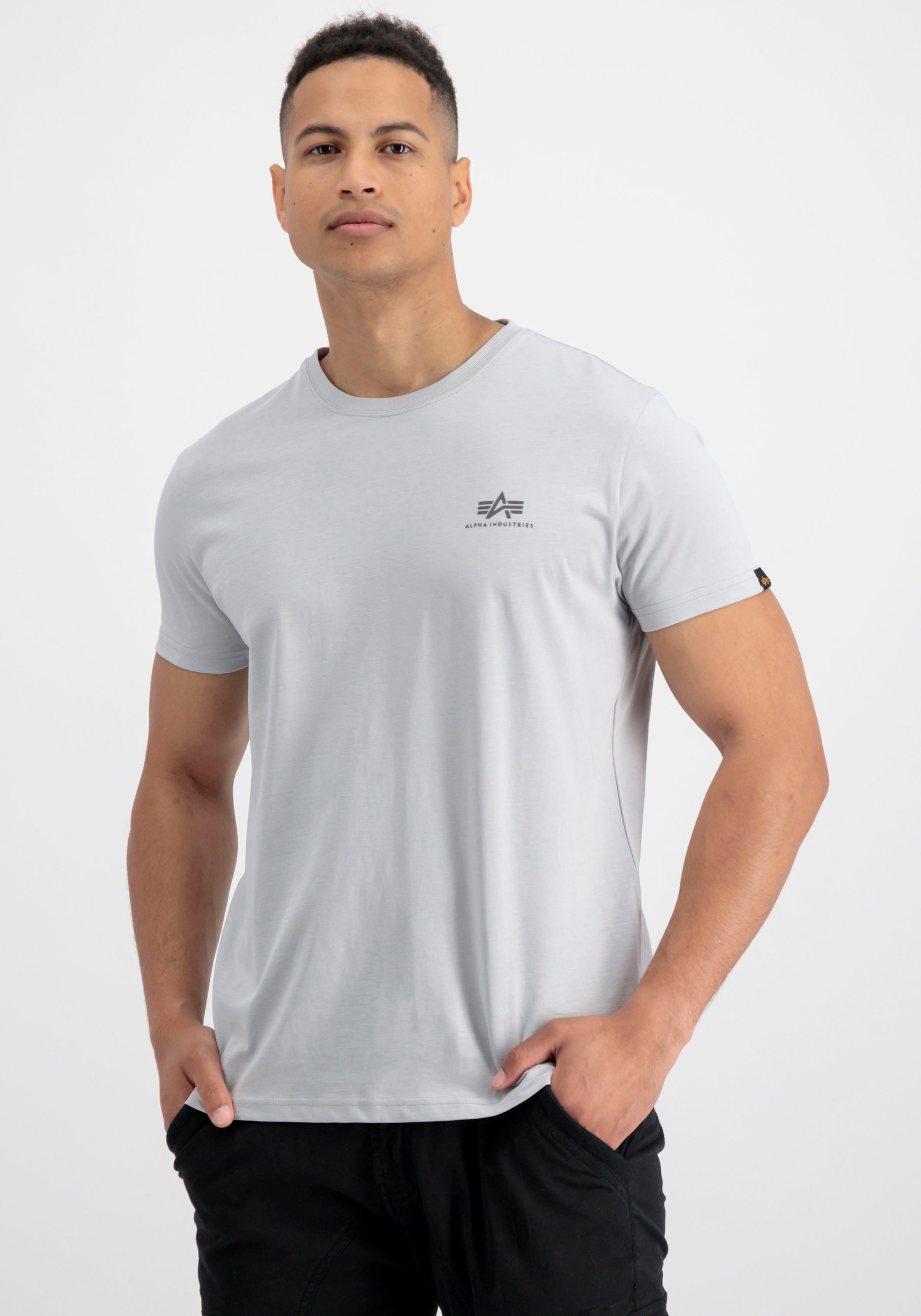 Alpha Industries Rundhalsshirt »BASIC T SMALL LOGO«