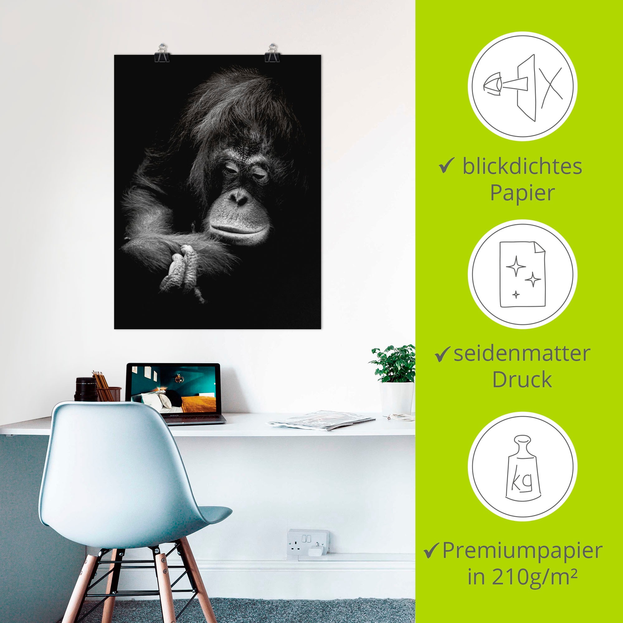 Artland Poster »Der nachdenkliche Orang Utan«, Affenbilder, (1 St.), als Alubild, Leinwandbild, Wandaufkleber oder Poster in versch. Grössen