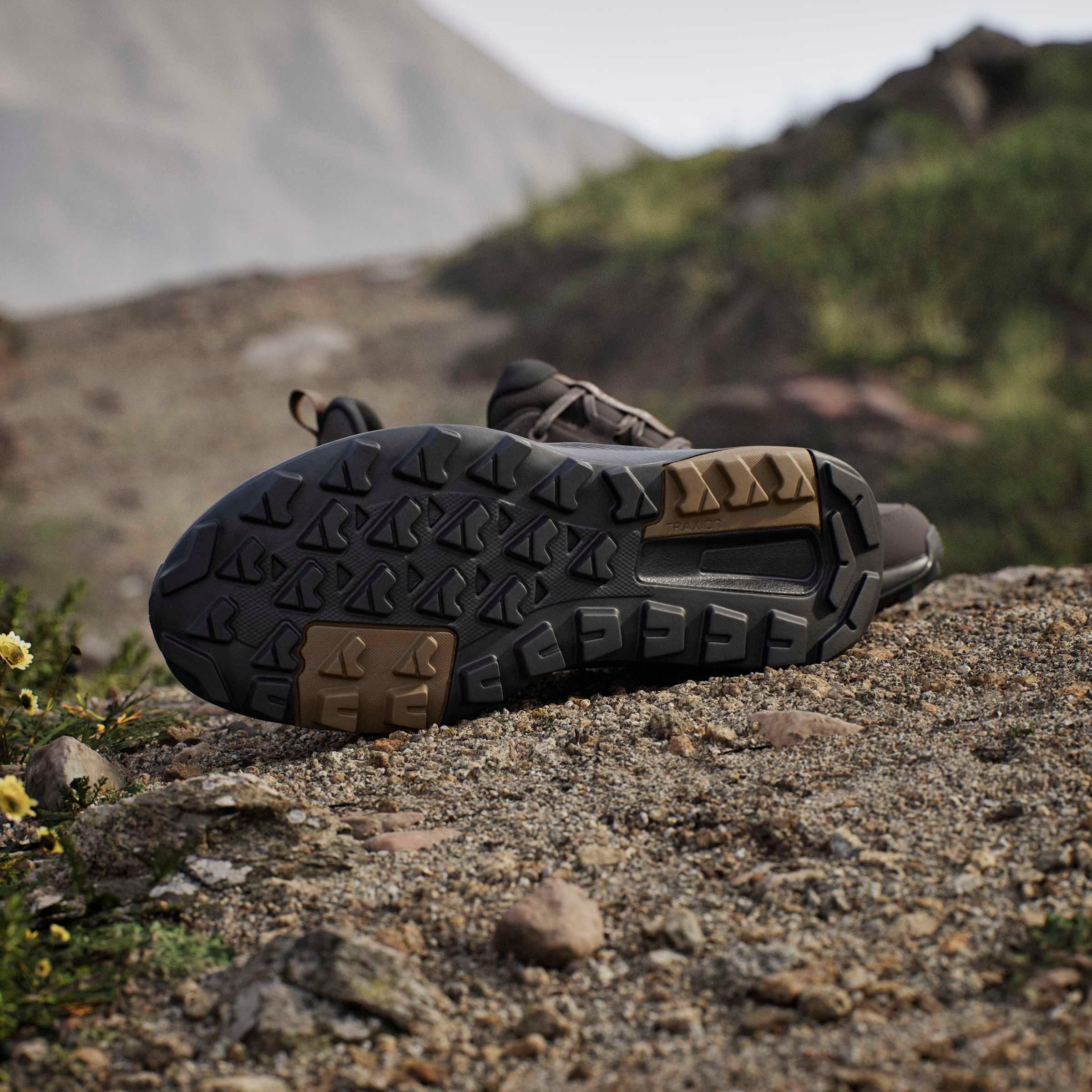 adidas TERREX Chaussure de randonnée »ANYLANDER RAIN.RDY«  étanche
