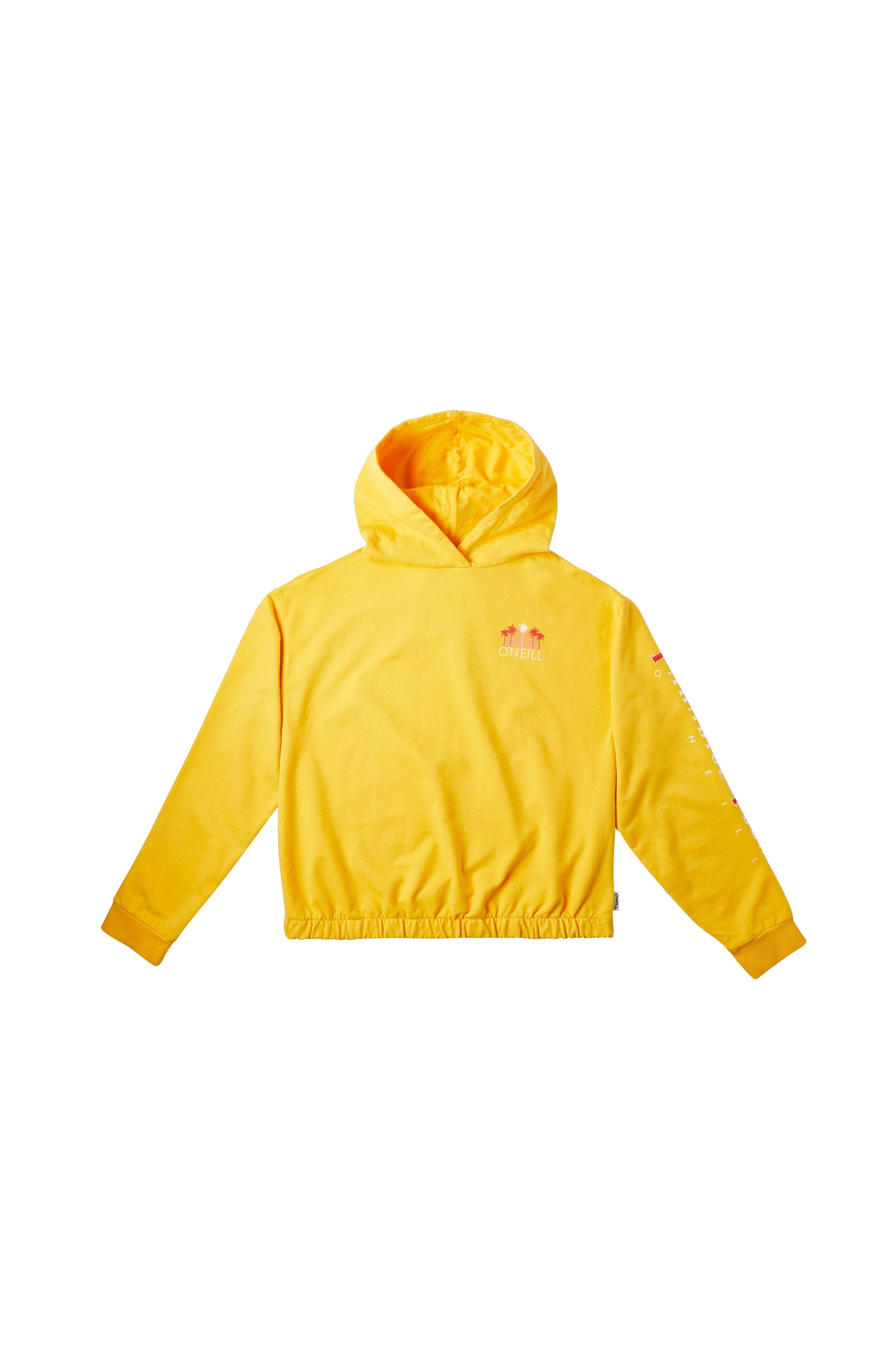 Image of O'Neill Kapuzensweatshirt »SURF HOODIE« bei Ackermann Versand Schweiz