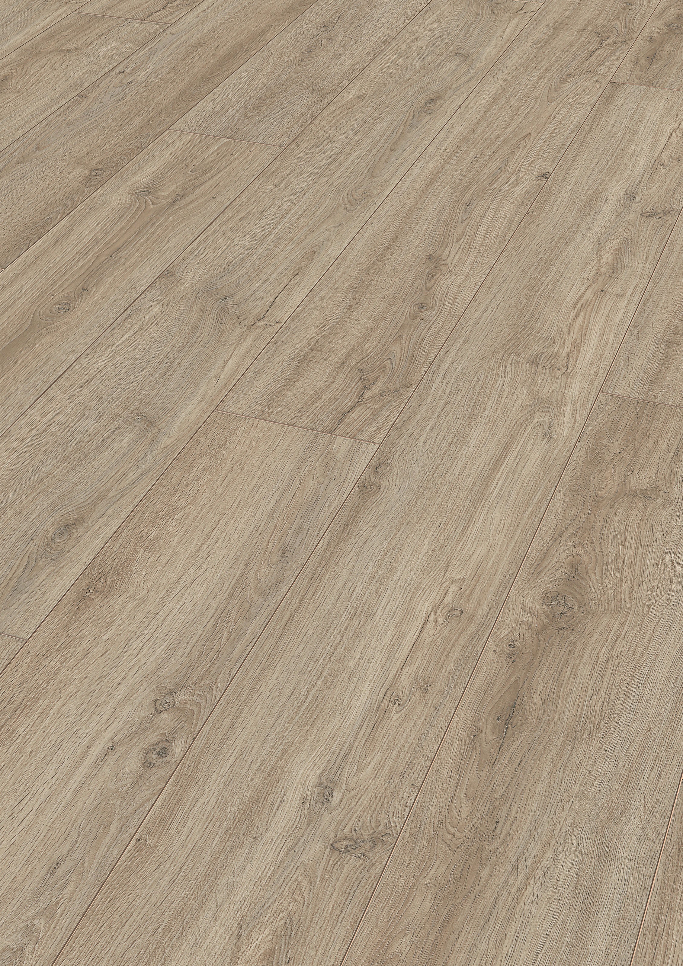 Image of MODERNA Laminat »Elegance, Loire Eiche«, (Packung), pflegeleicht, 1288 x 244 mm, Stärke: 8 mm bei Ackermann Versand Schweiz