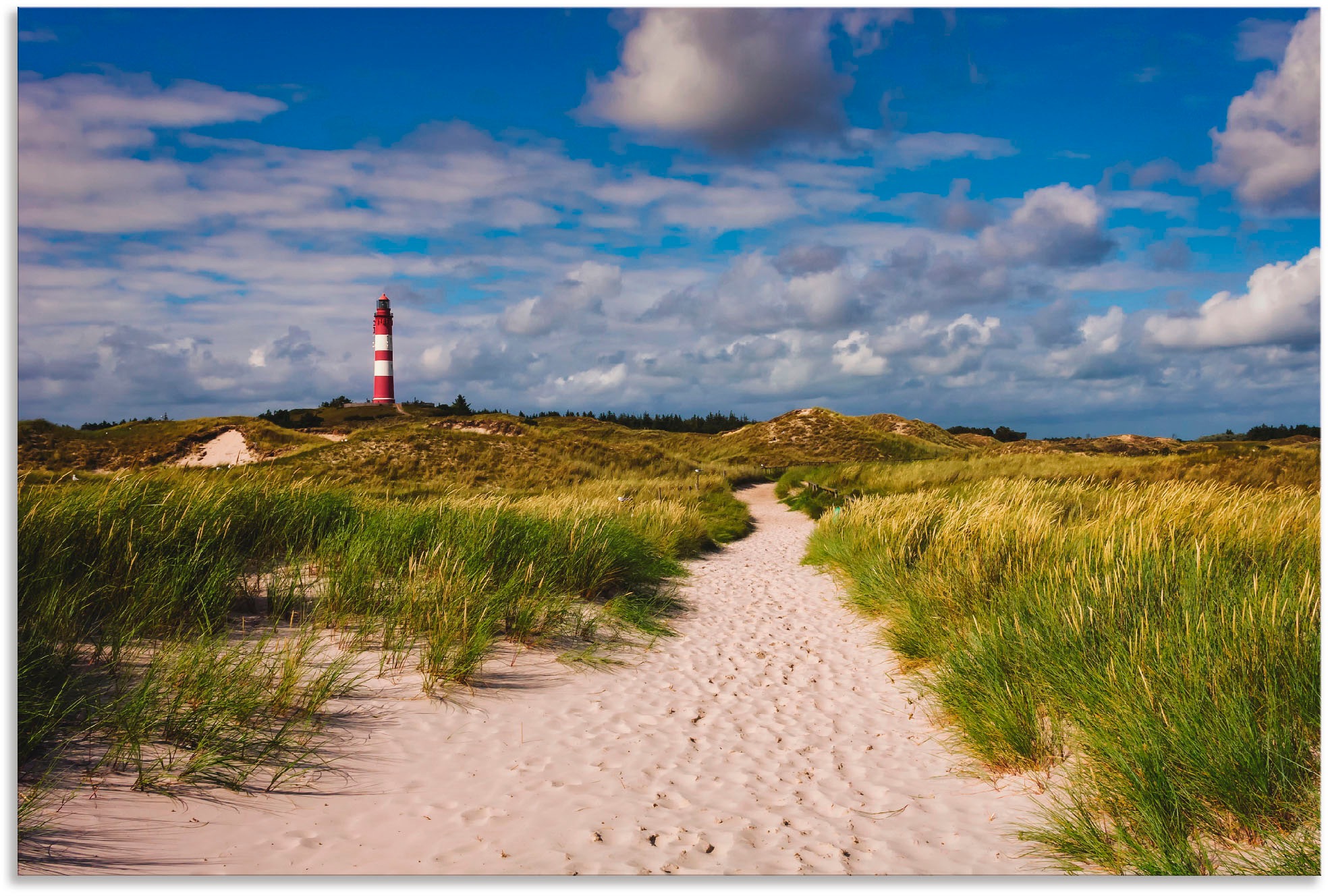 Artland Wandbild »Strandweg zum kaufen (1 Insel - Amrum«, Poster günstig oder als versch. Grössen Küste, Leinwandbild, Wandaufkleber St.), Leuchtturm in Alubild