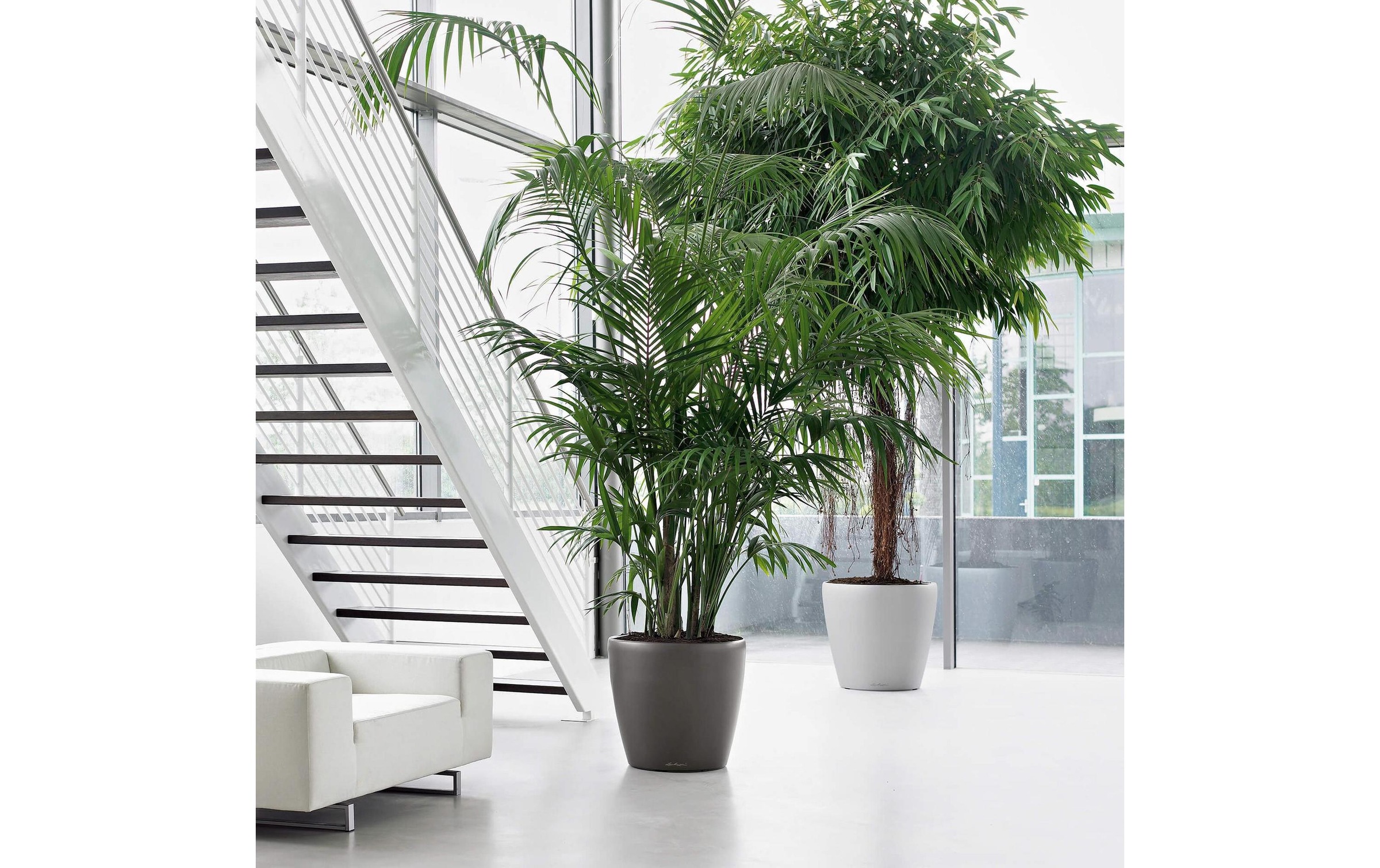   Blumentopf »Lechuza CLASSICO Premium 60«