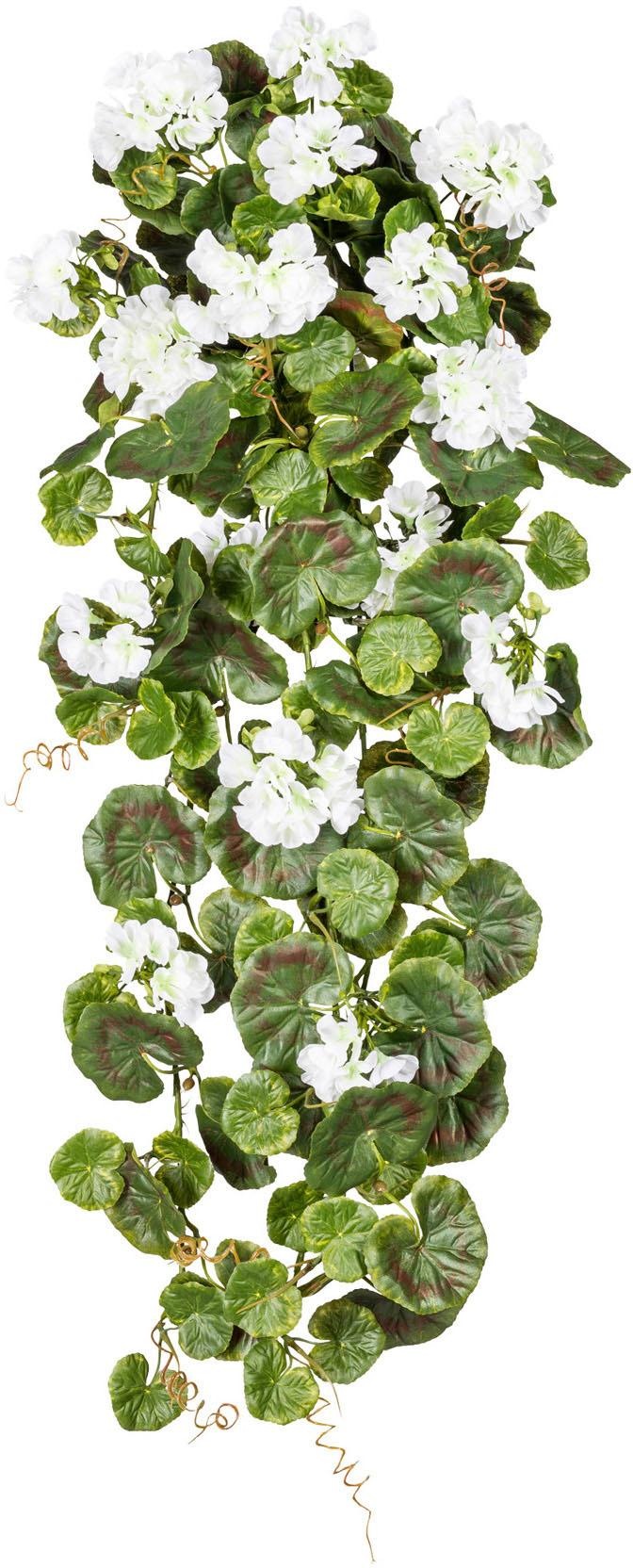 Image of Creativ green Kunstpflanze »Geranienhänger«, (1 St.) bei Ackermann Versand Schweiz