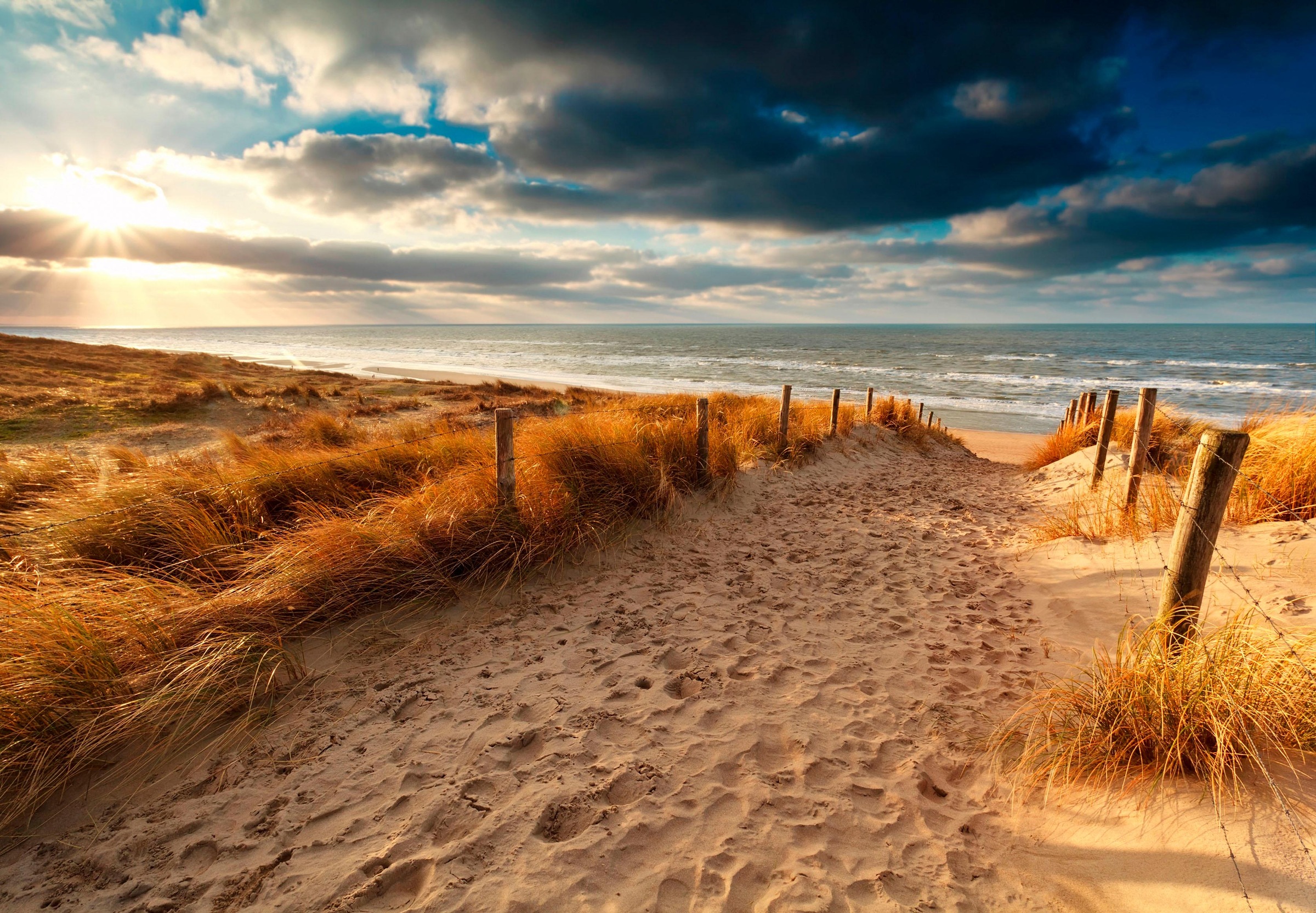 Image of Home affaire Deco-Panel »Weg zum Strand«, hochwertiger Kunstdruck bei Ackermann Versand Schweiz