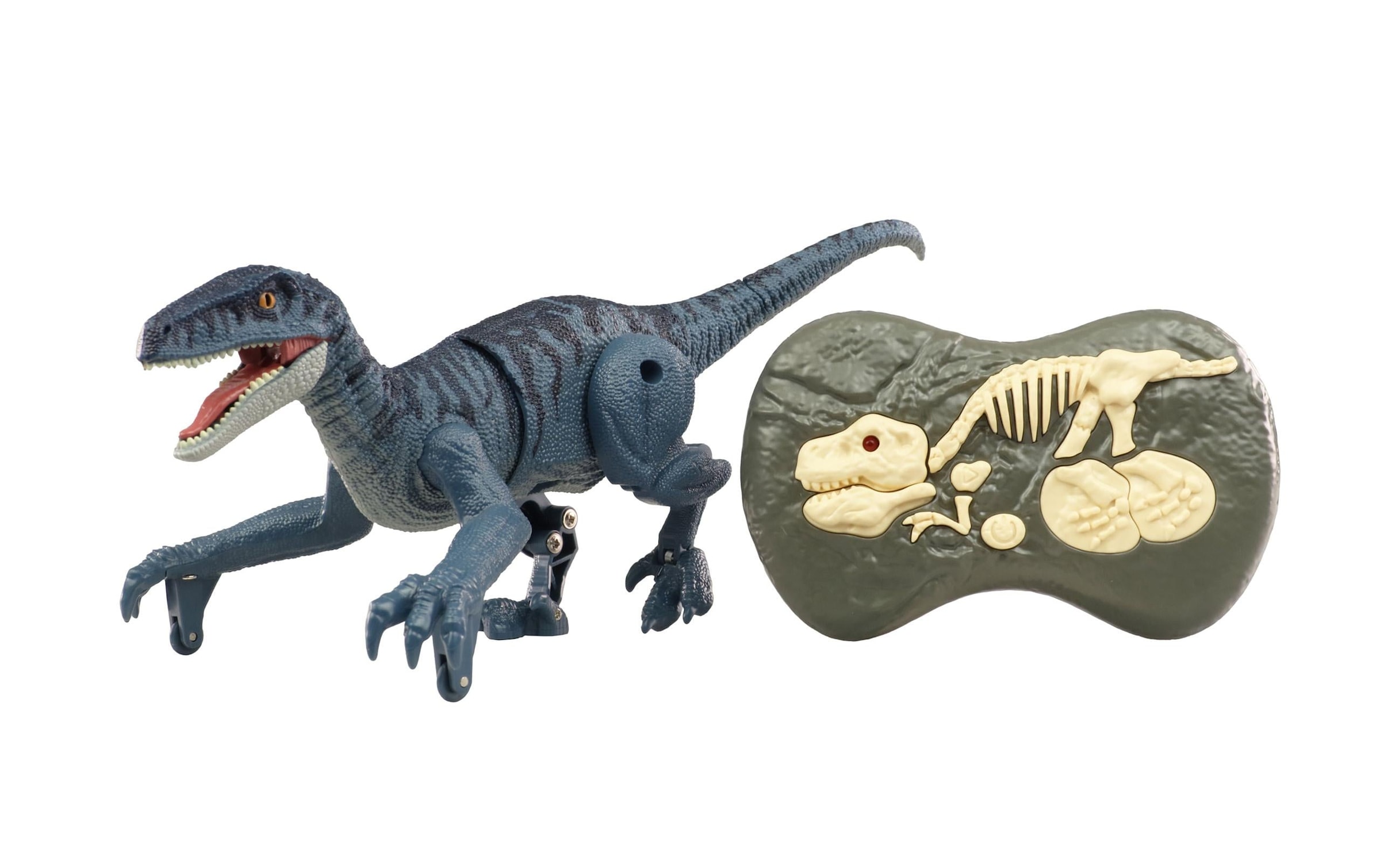 Amewi RC-Tier »Velociraptor Blaugrau, RTR«