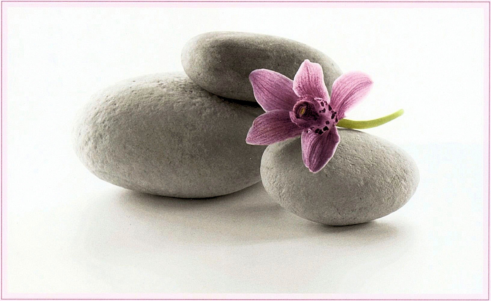 Image of my home Kunstdruck »Harmony«, (1 St.) bei Ackermann Versand Schweiz