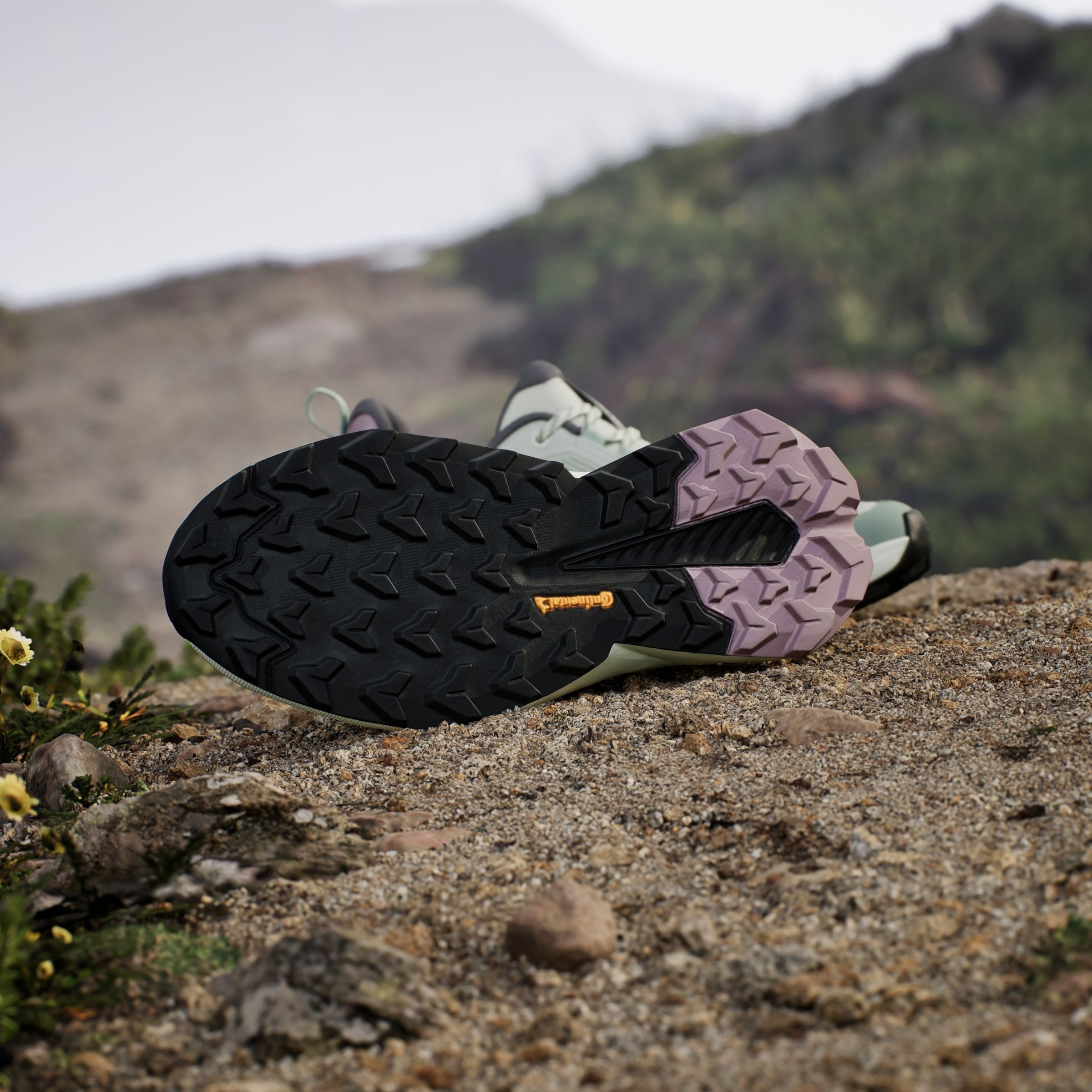 adidas TERREX Wanderschuh »TERREX TRAILMAKER 2.0«
