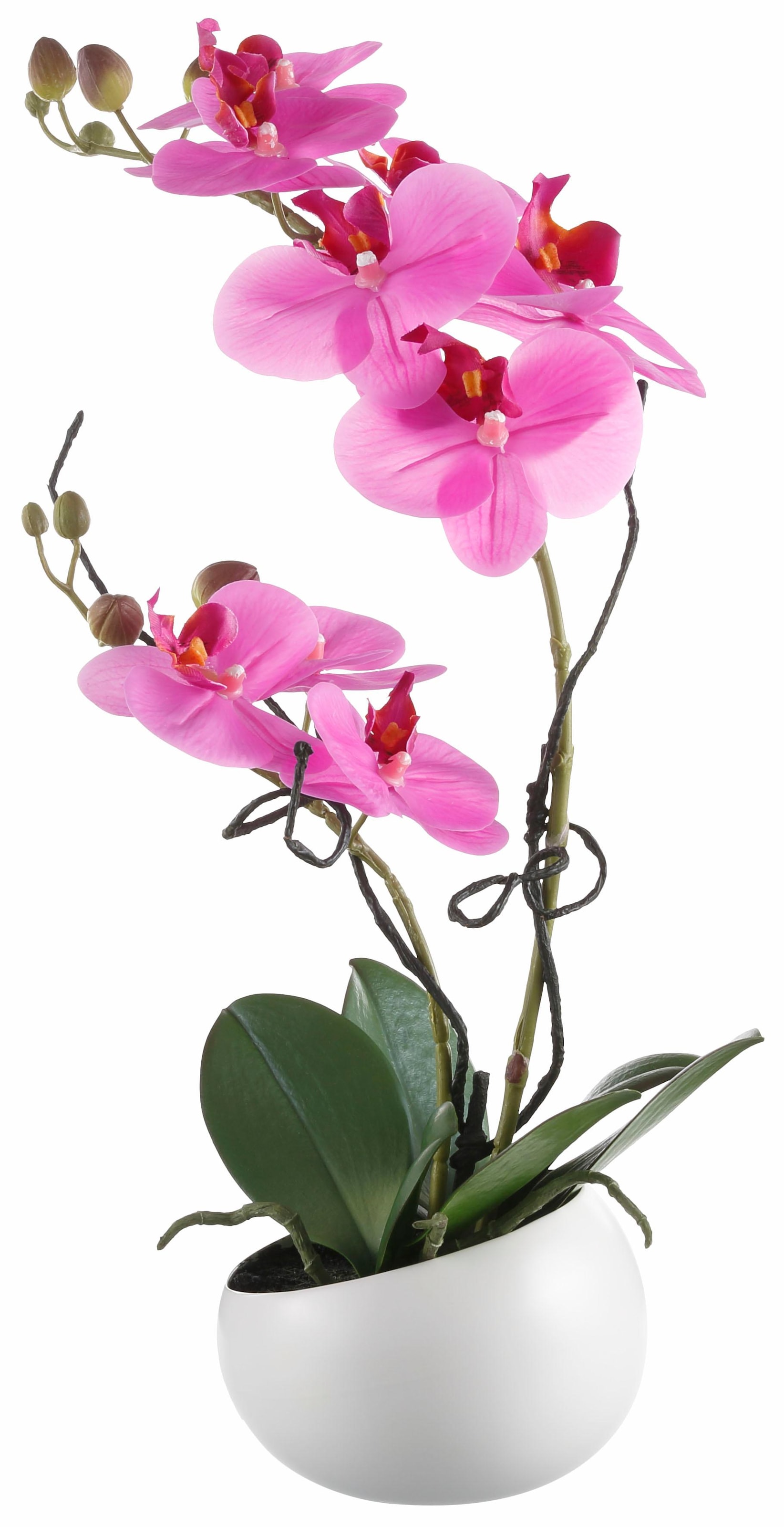 prix à »Orchidee« green bas Creativ Kunstpflanze