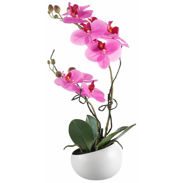 Creativ green Kunstpflanze »Orchidee« kaufen