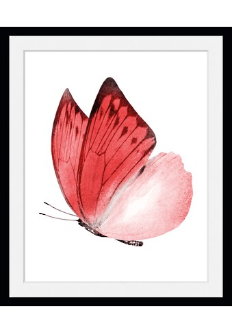 queence Bild »Liana«, Schmetterlinge, (1 St.) kaufen