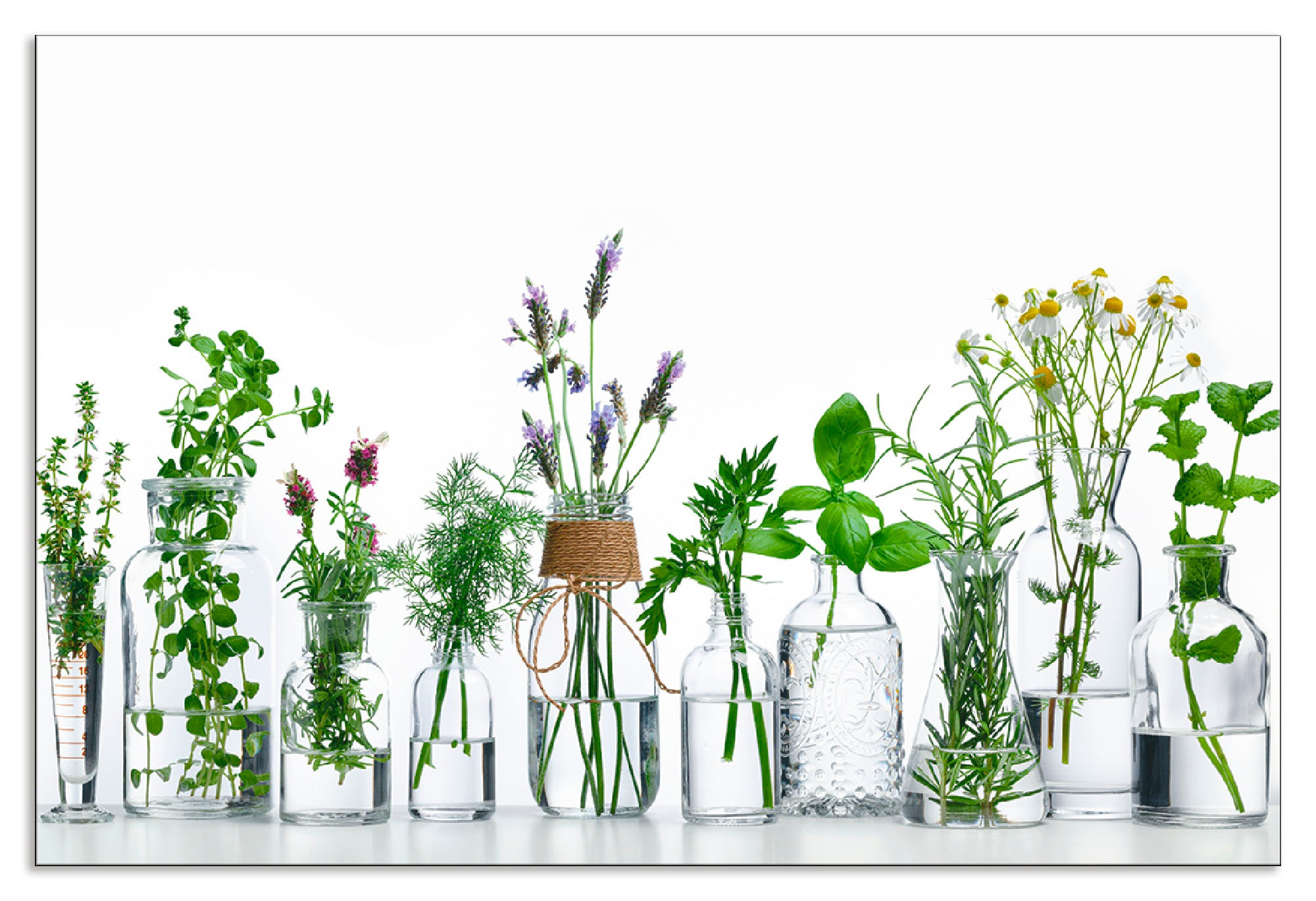 Image of Artland Küchenrückwand »Öle mit Kräutern«, (1 tlg.), selbstklebend in vielen Grössen - Spritzschutz Küche hinter Herd u. Spüle als Wandschutz vor Fett, Wasser u. Schmutz - Rückwand, Wandverkleidung aus Alu bei Ackermann Versand Schweiz