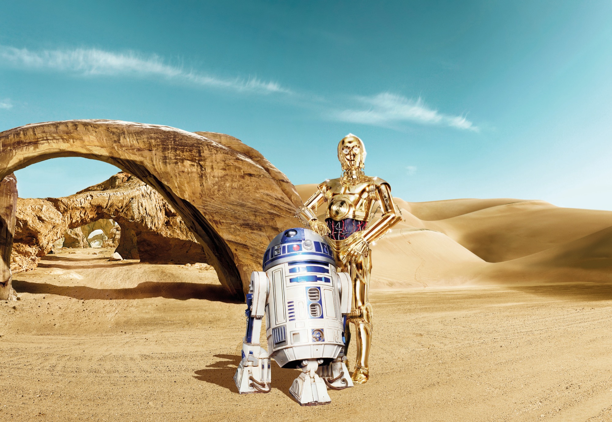 Image of Komar Fototapete "STAR WARS Lost Droids - Grösse 368 x 254 cm" bedruckt glatt Kinderzimmer