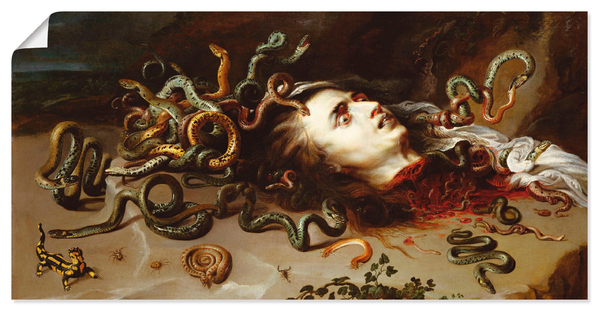 Image of Artland Wandbild "Das Haupt der Medusa" klassische Fantasie 1 Stk. tlg. als Leinwandbild, Poster in verschied. Grössen
