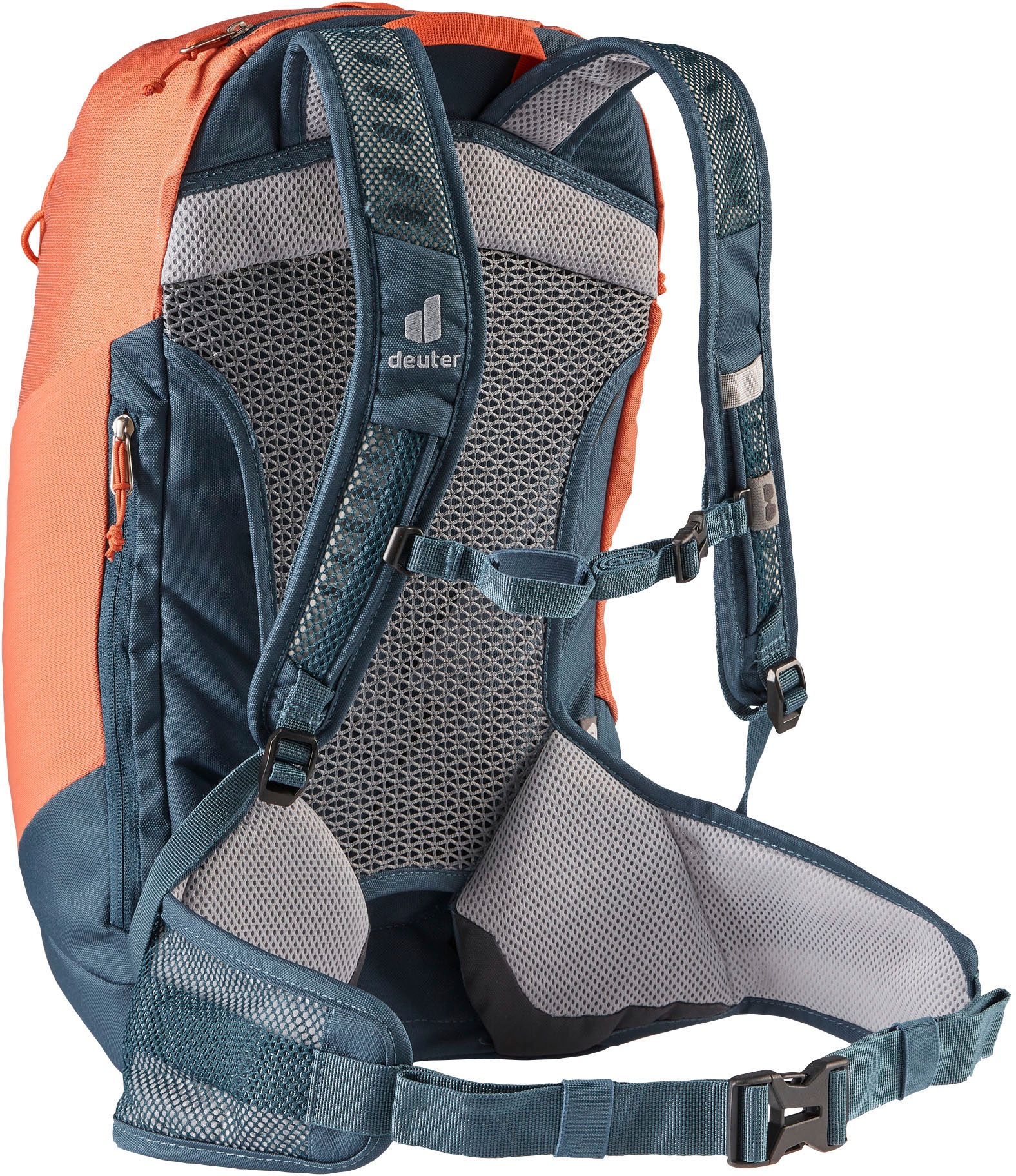 Image of deuter Daypack »AC LITE 21 SL« bei Ackermann Versand Schweiz