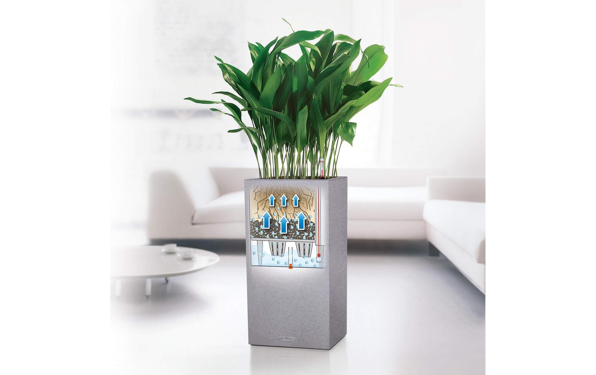 Blumentopf »Lechuza Canto Color High«