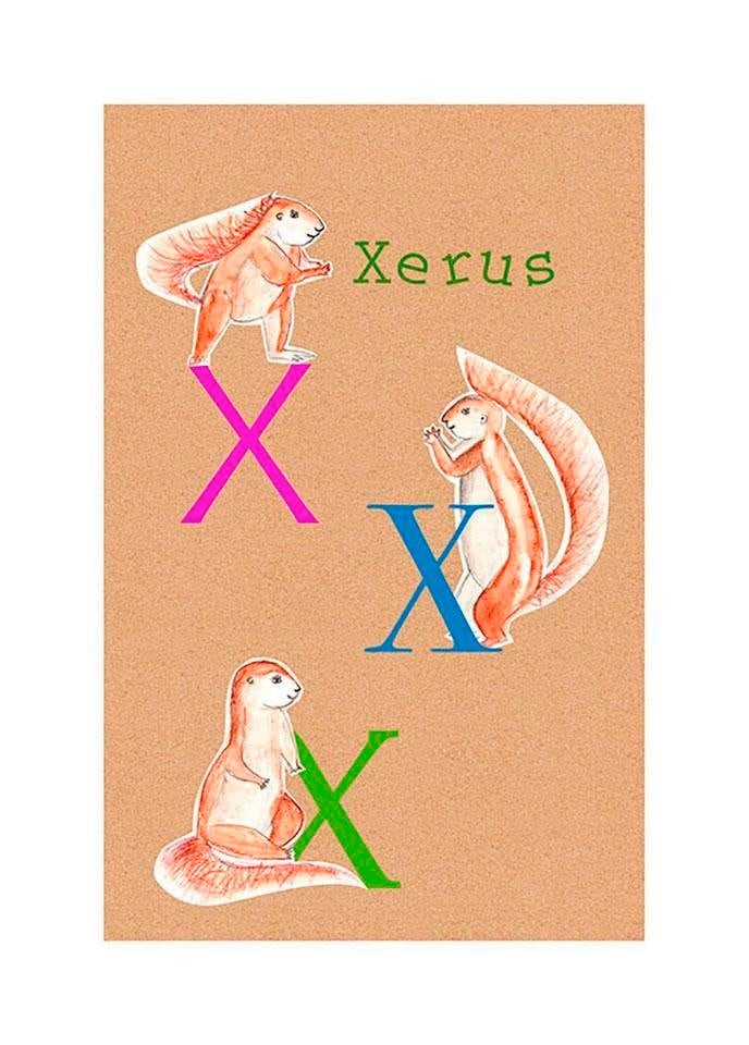 Image of Komar Bild "ABC Animal X" Buchstaben 1 Stk. tlg. Wandbild zur Dekoration - ohne Rahmen