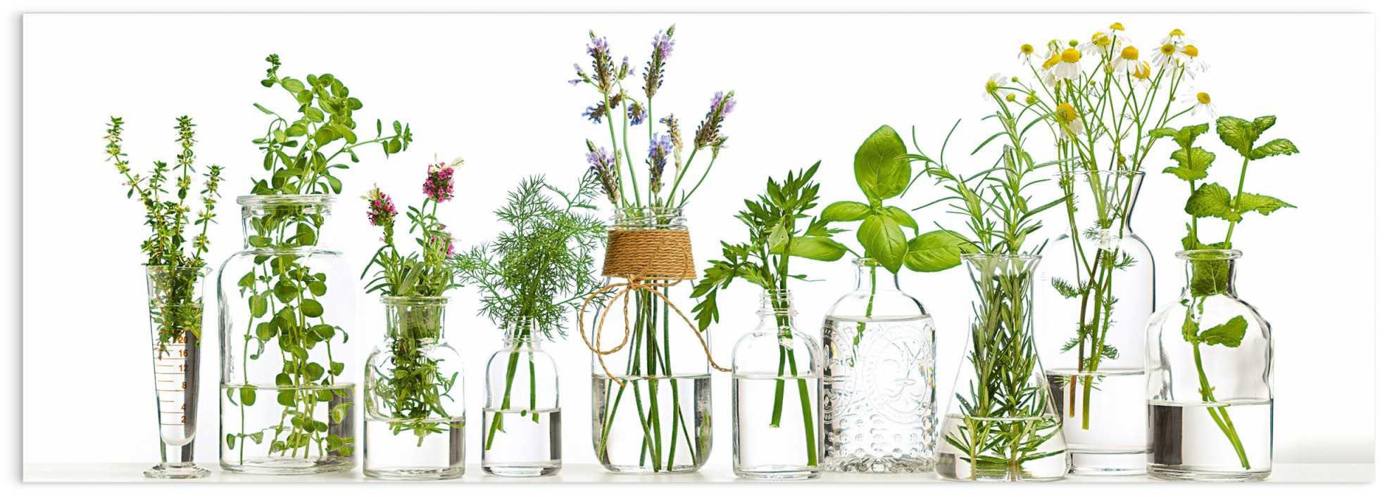 Image of Reinders! Glasbild »Glasbild Kräuter in Vasen Gewürze - Garten - Kochen«, Vasen, (1 St.) bei Ackermann Versand Schweiz